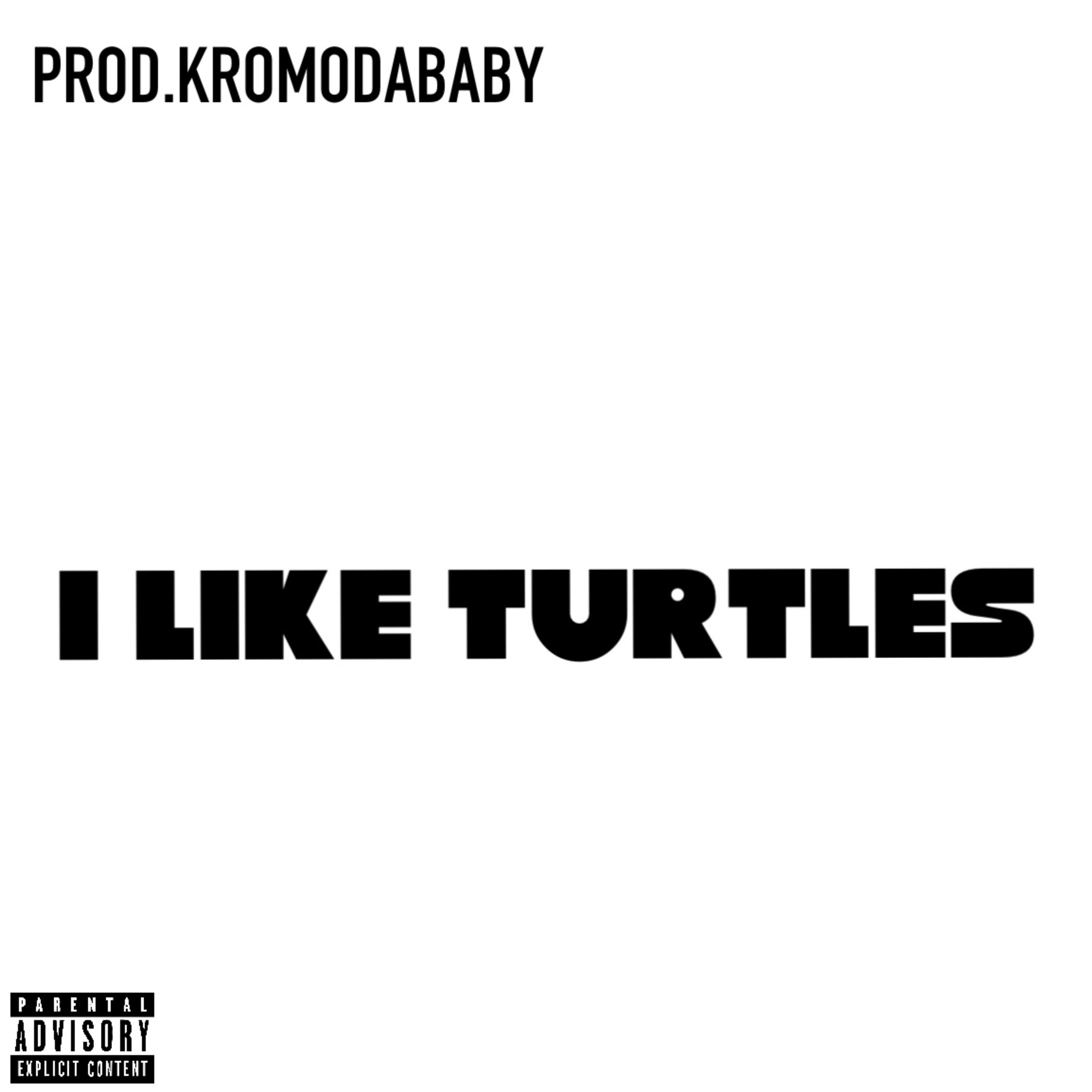 I LIKE TURTLES artwork