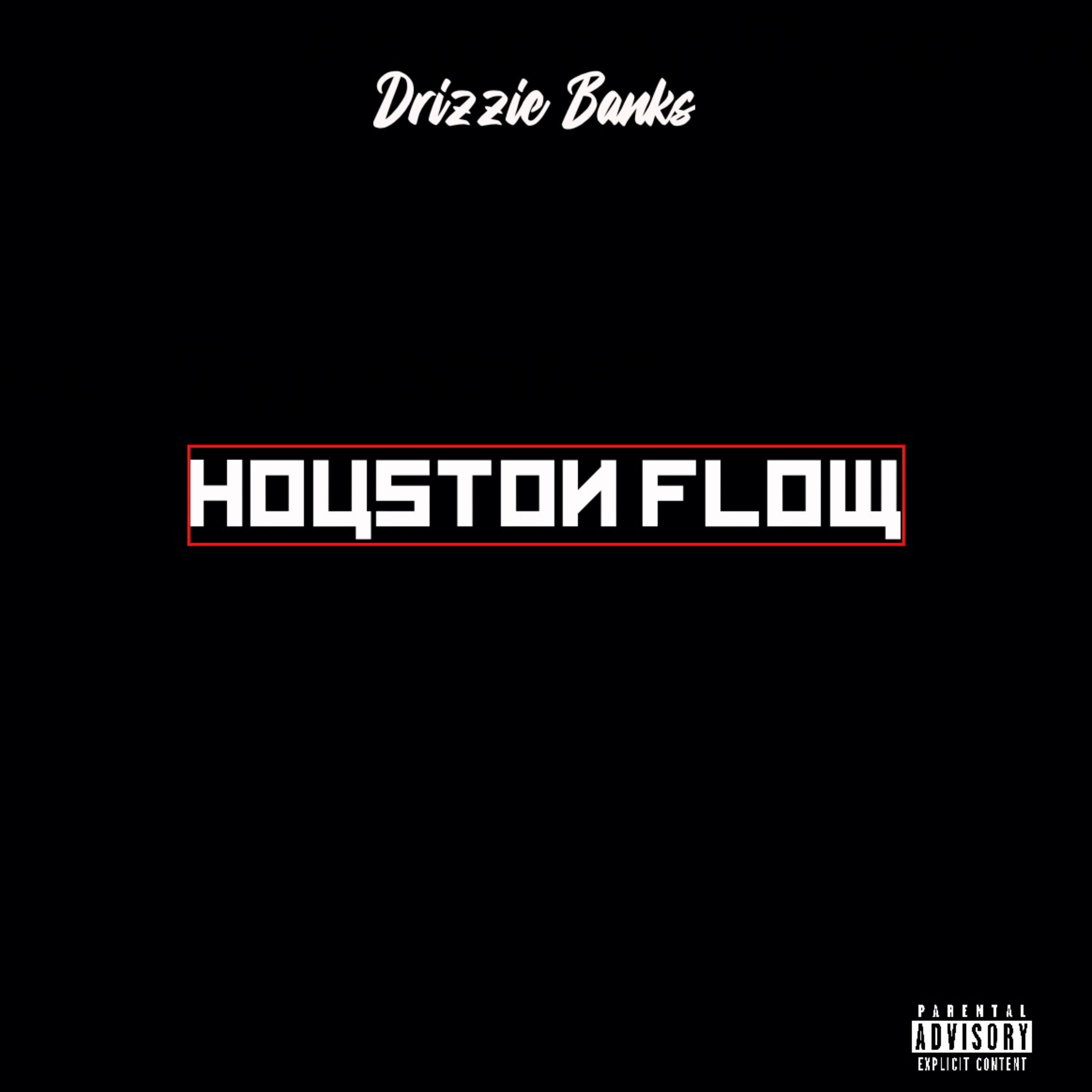 Houston Flow artwork