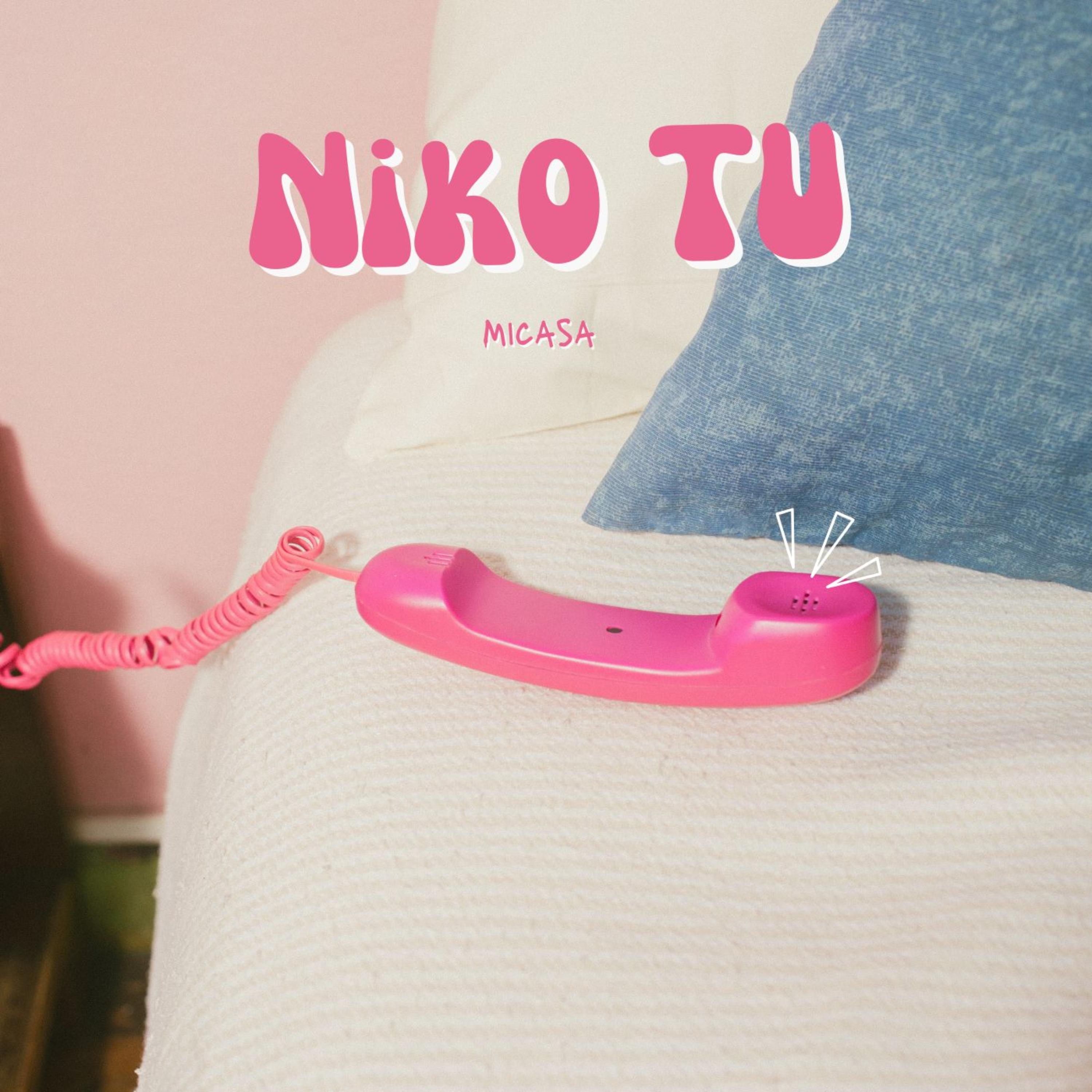 Niko tu artwork