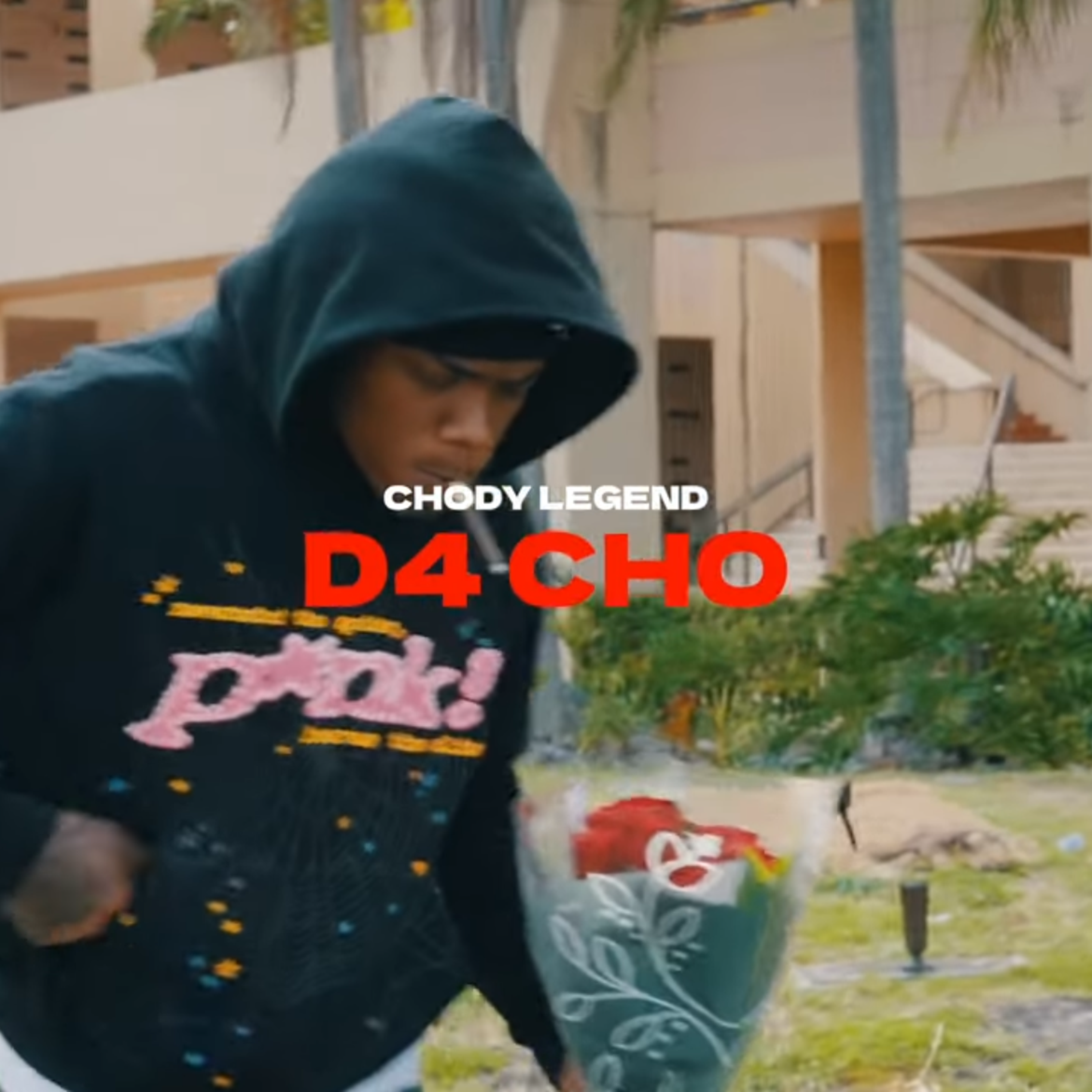 D4 CHO artwork