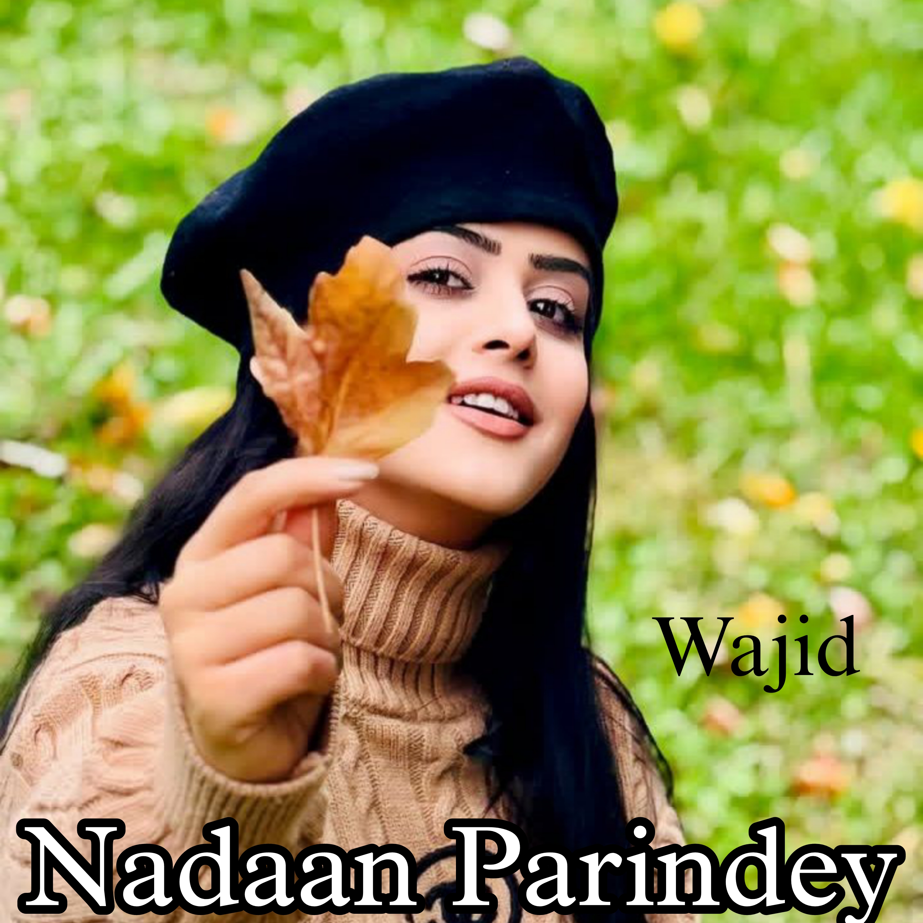 Nadaan Parindey artwork