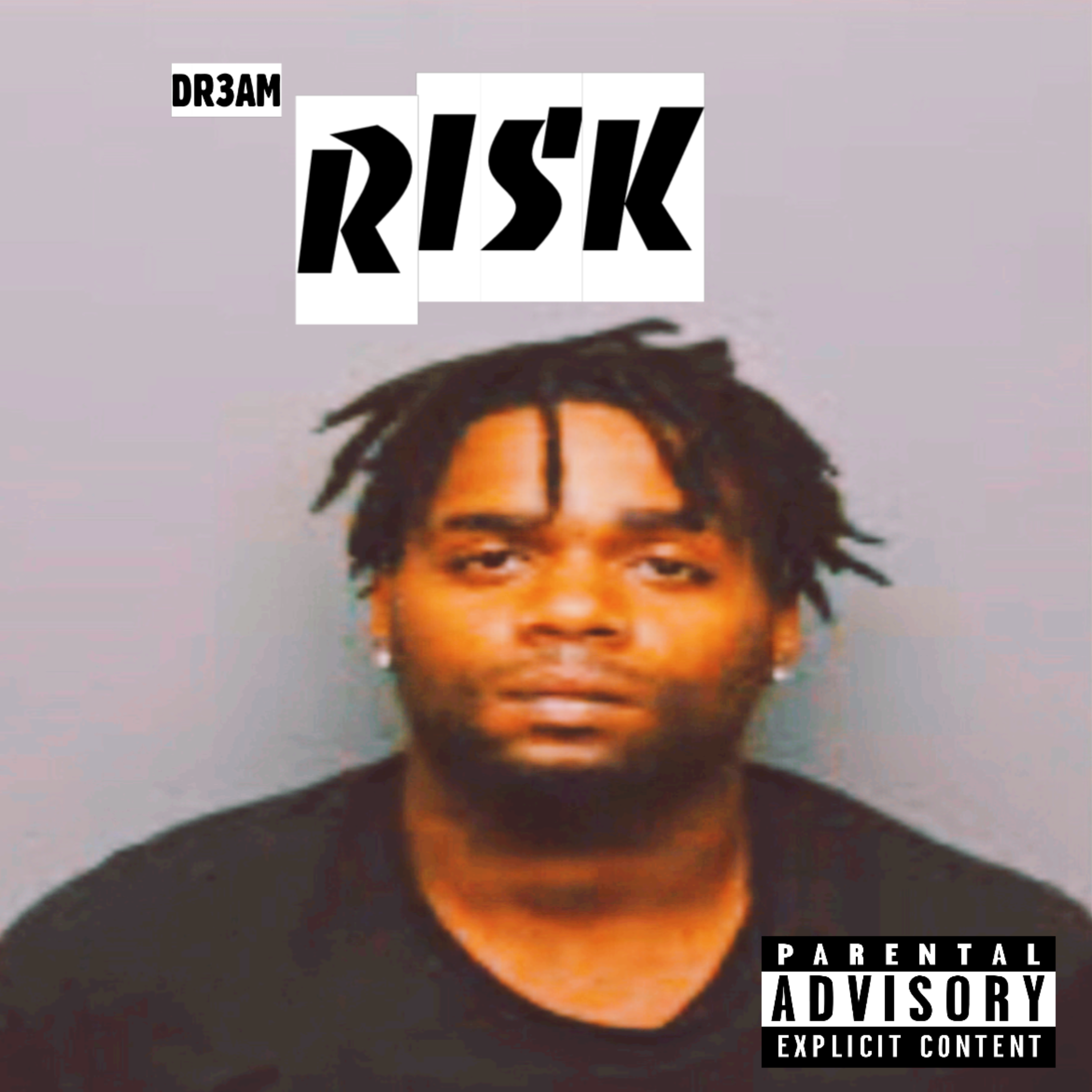 RISK artwork