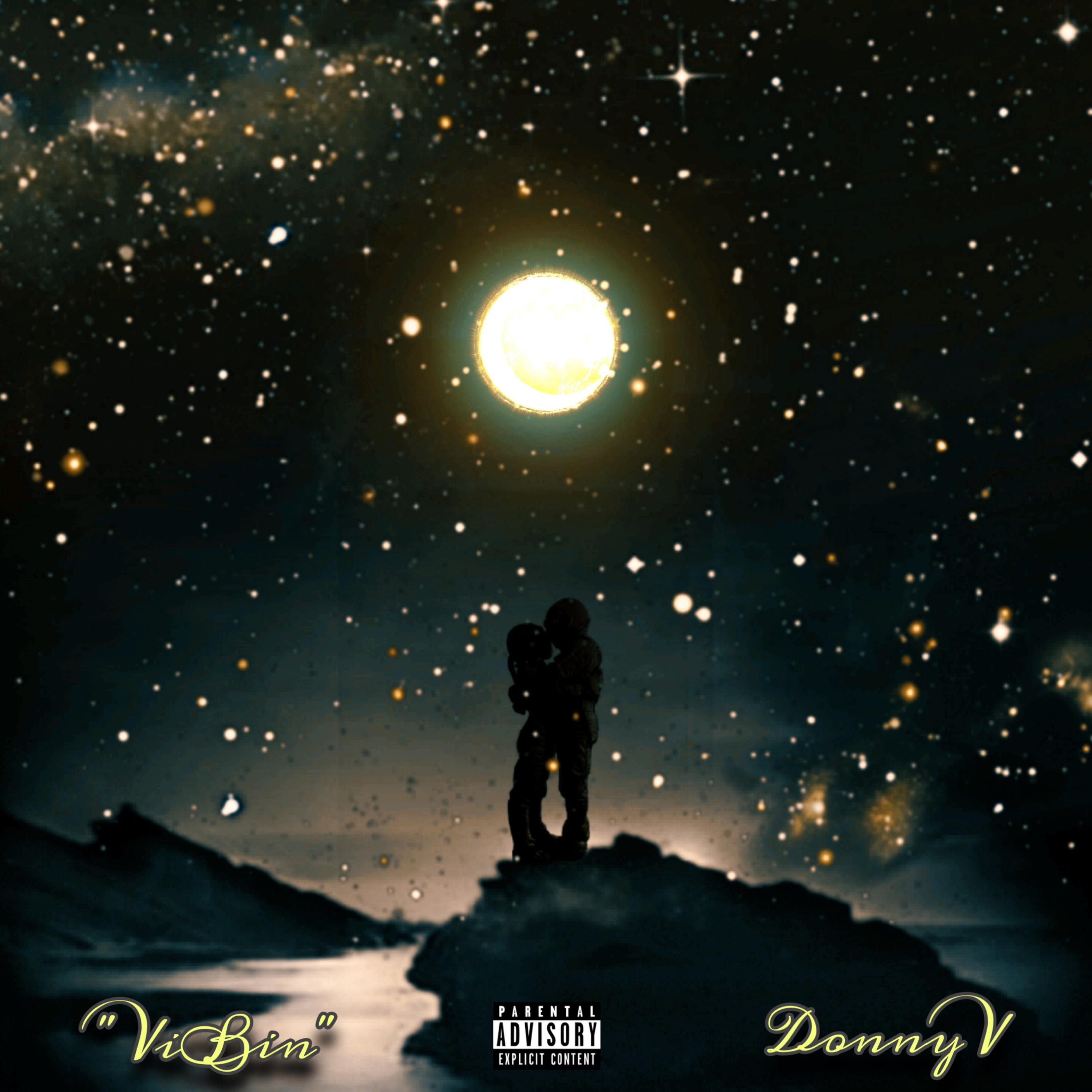 ViBin artwork