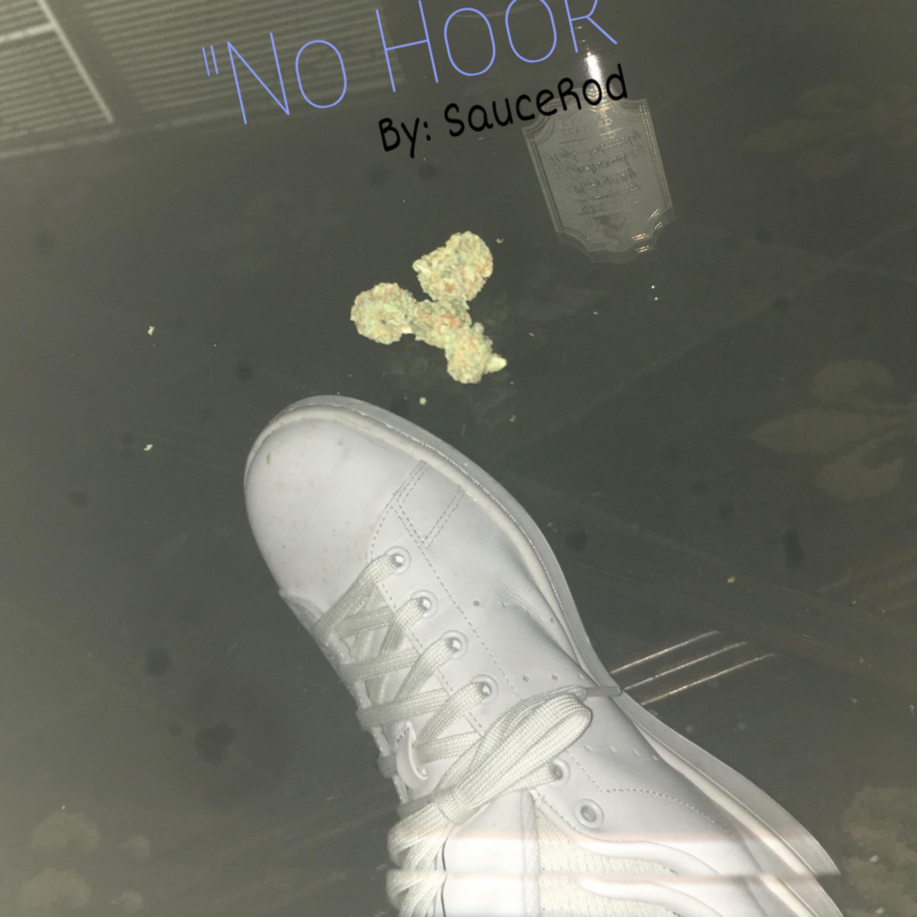 " No Hook" by SauceRod cover art