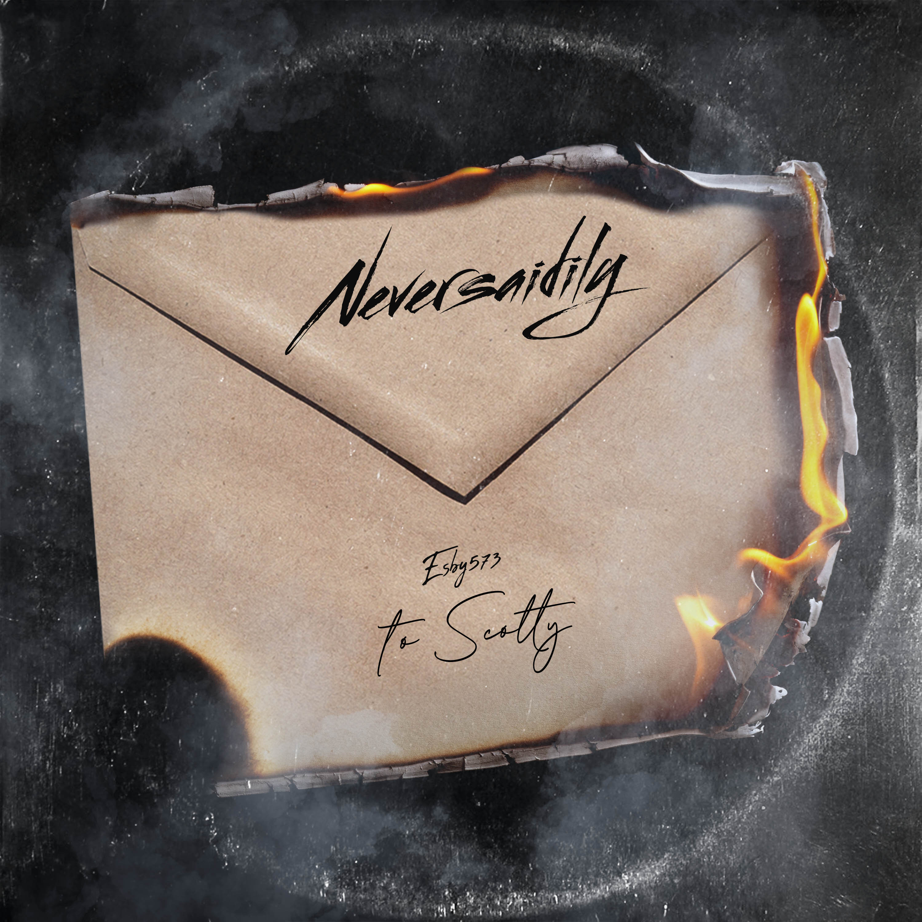 NeversaidIly artwork