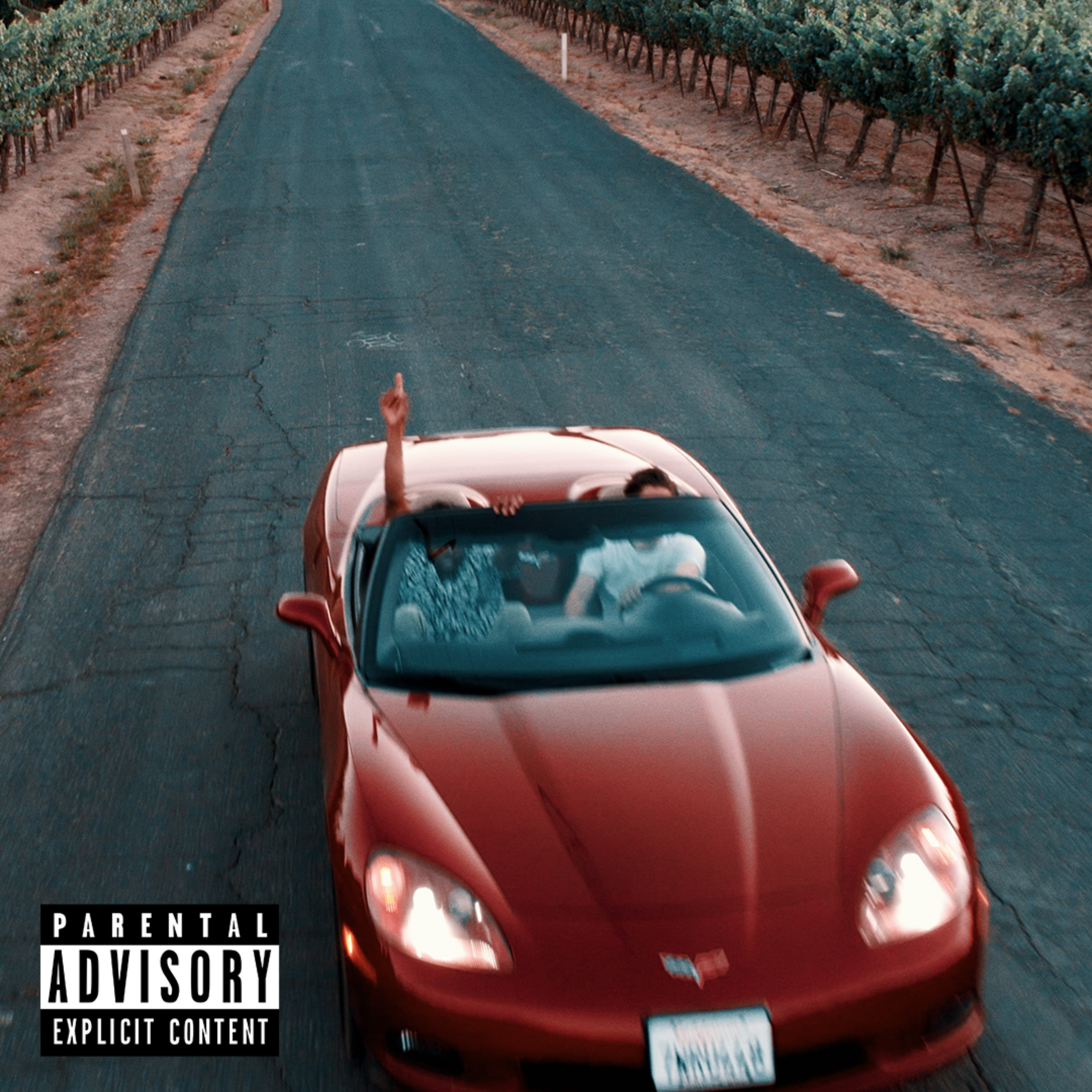 I Won't Settle artwork