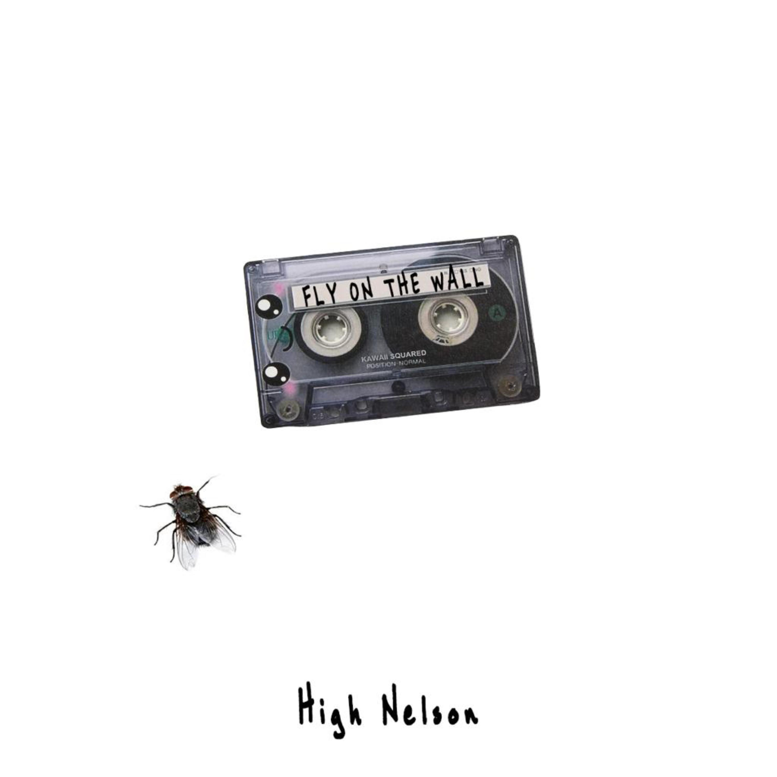 Fly On The Wall by High Nelson cover art