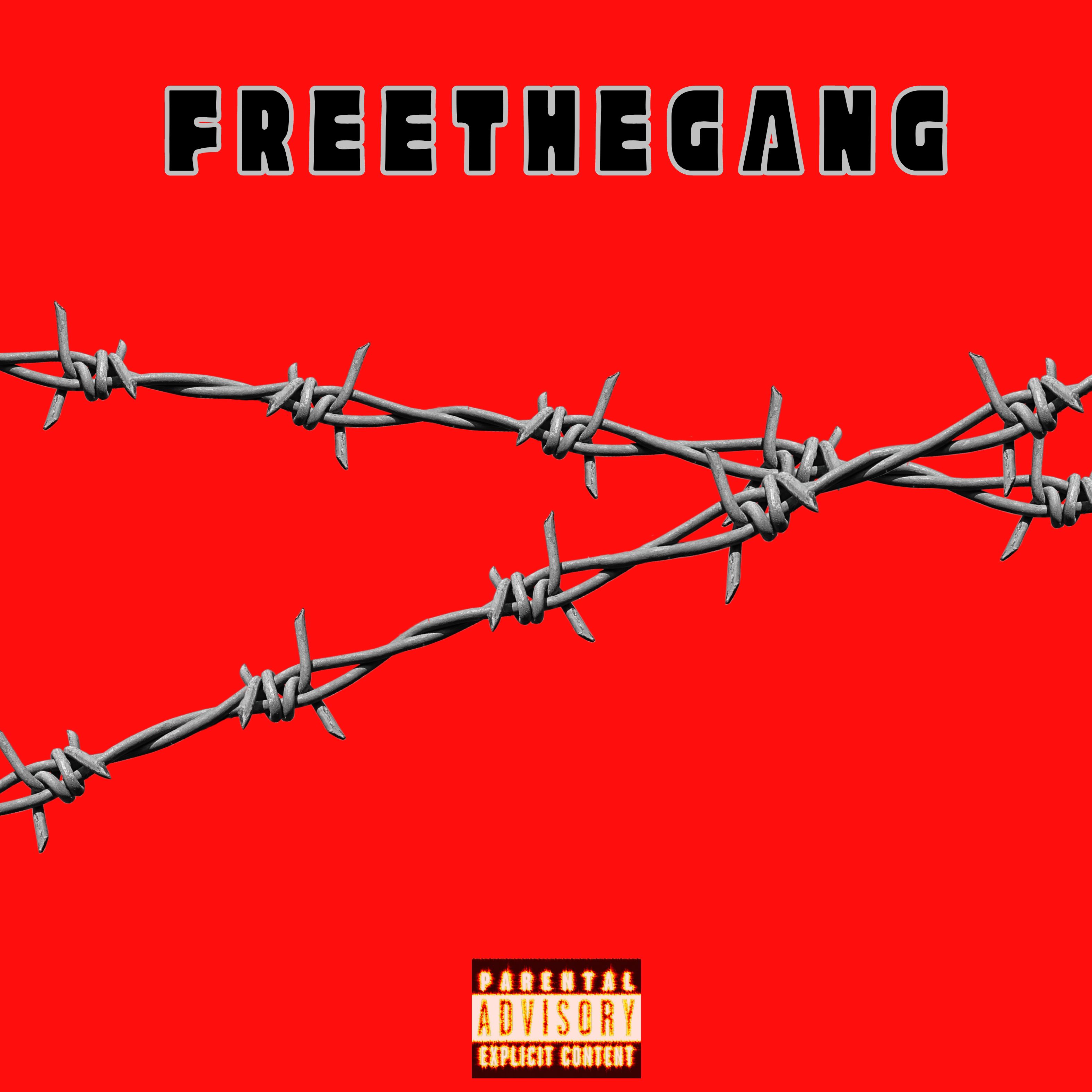 F R E E T H E G A N G artwork