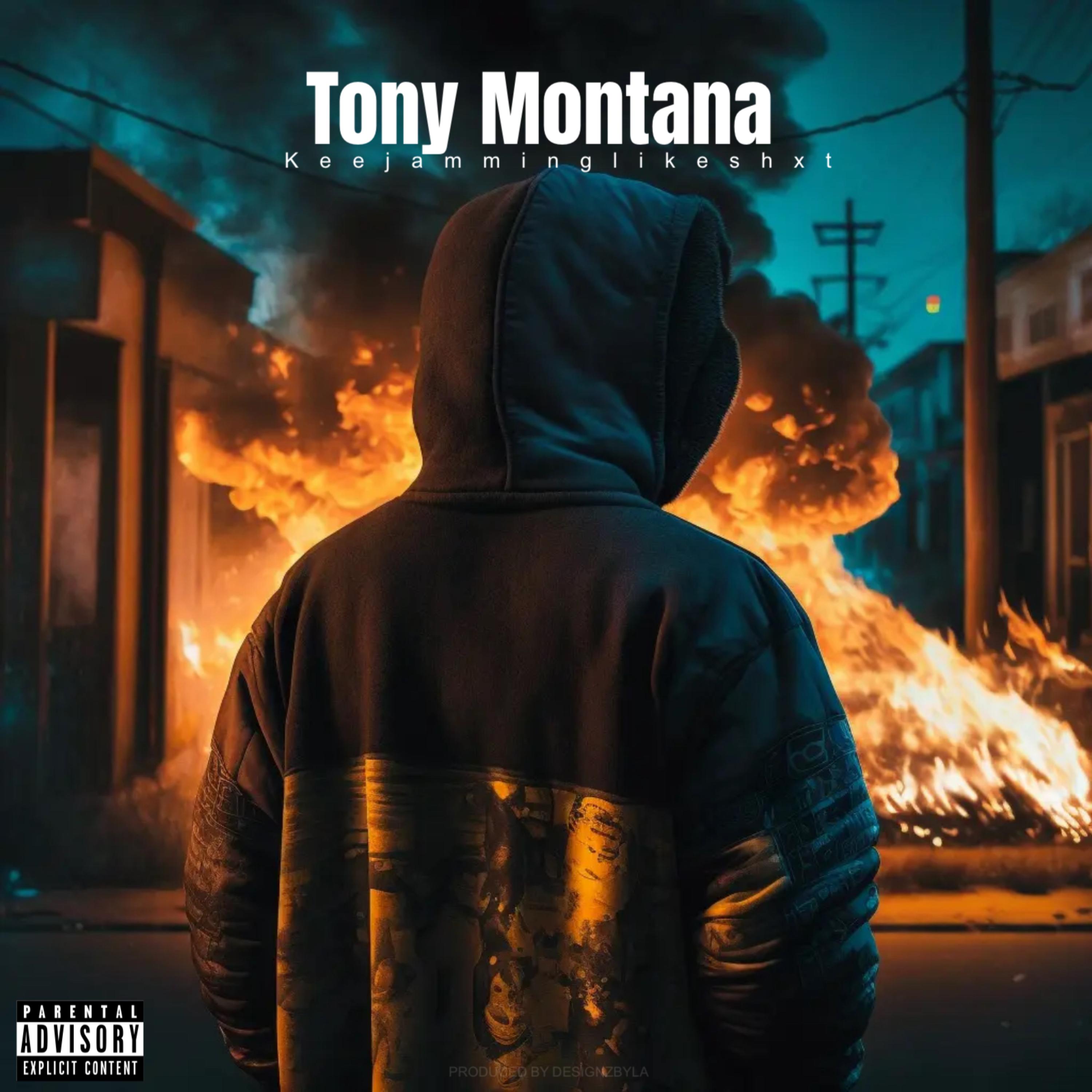 Tony Montana artwork