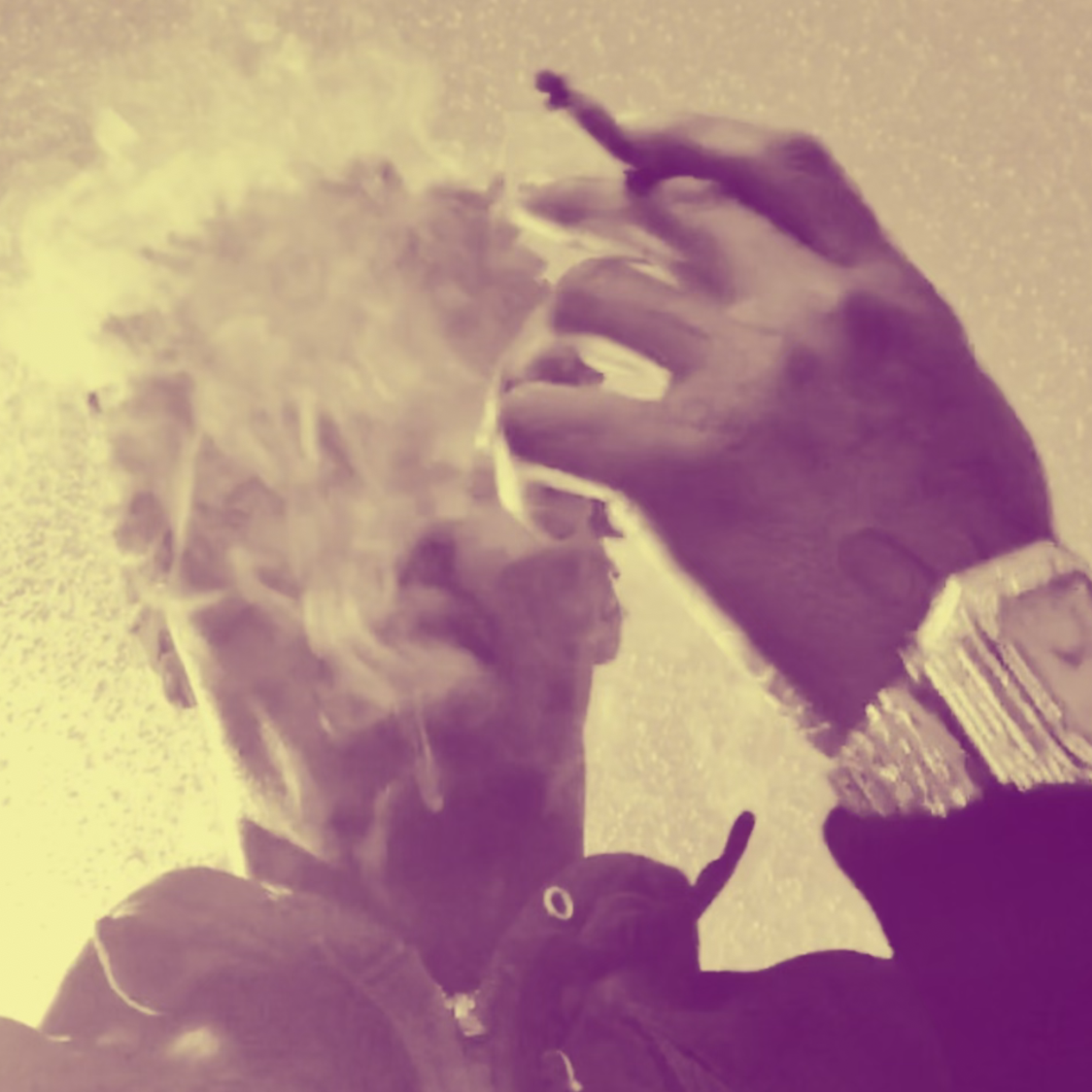 On Go Freestyle artwork