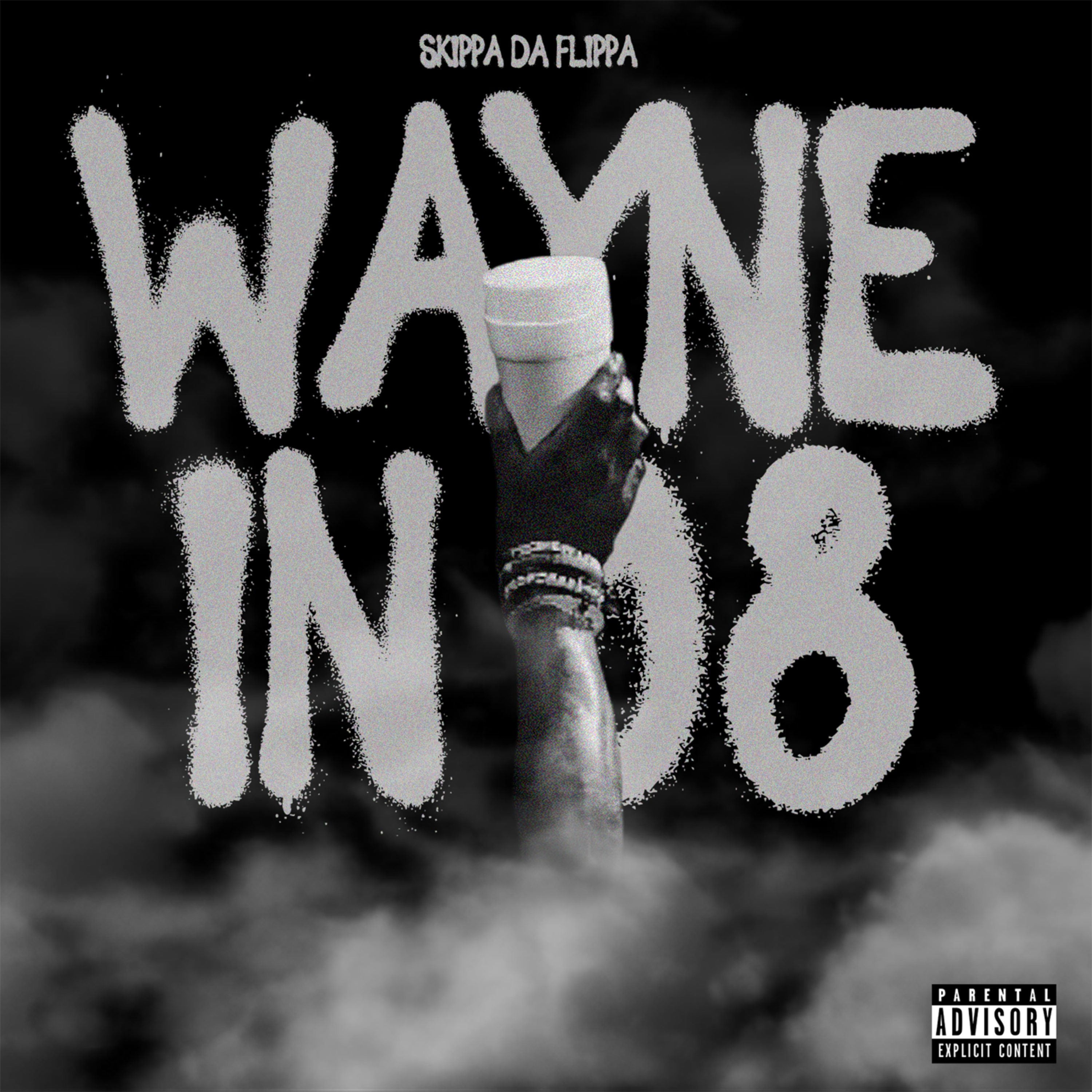 Wayne In 08' artwork