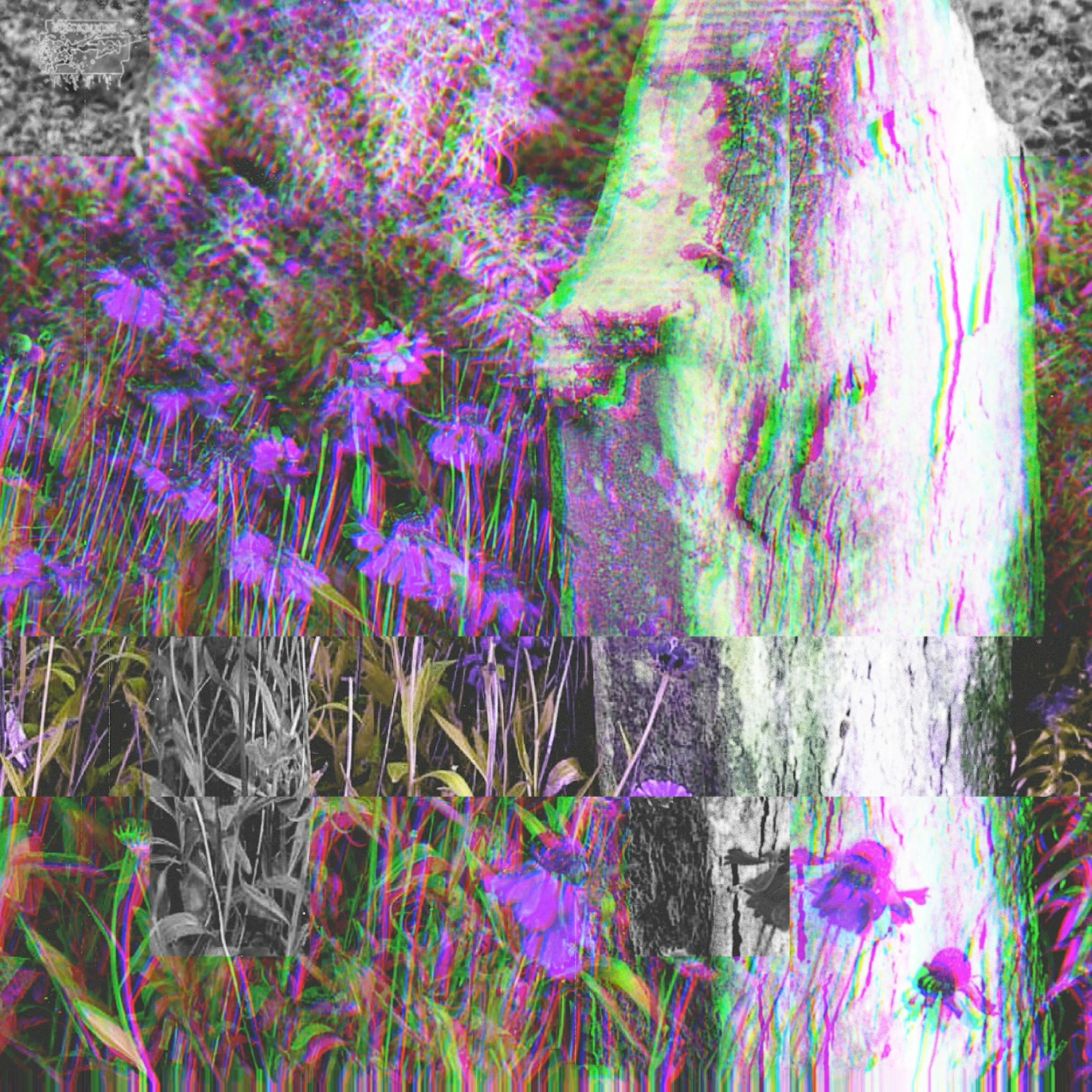 From My Rotting Body, Flowers Shall Grow and I Am In Them, and That Is Eternity artwork