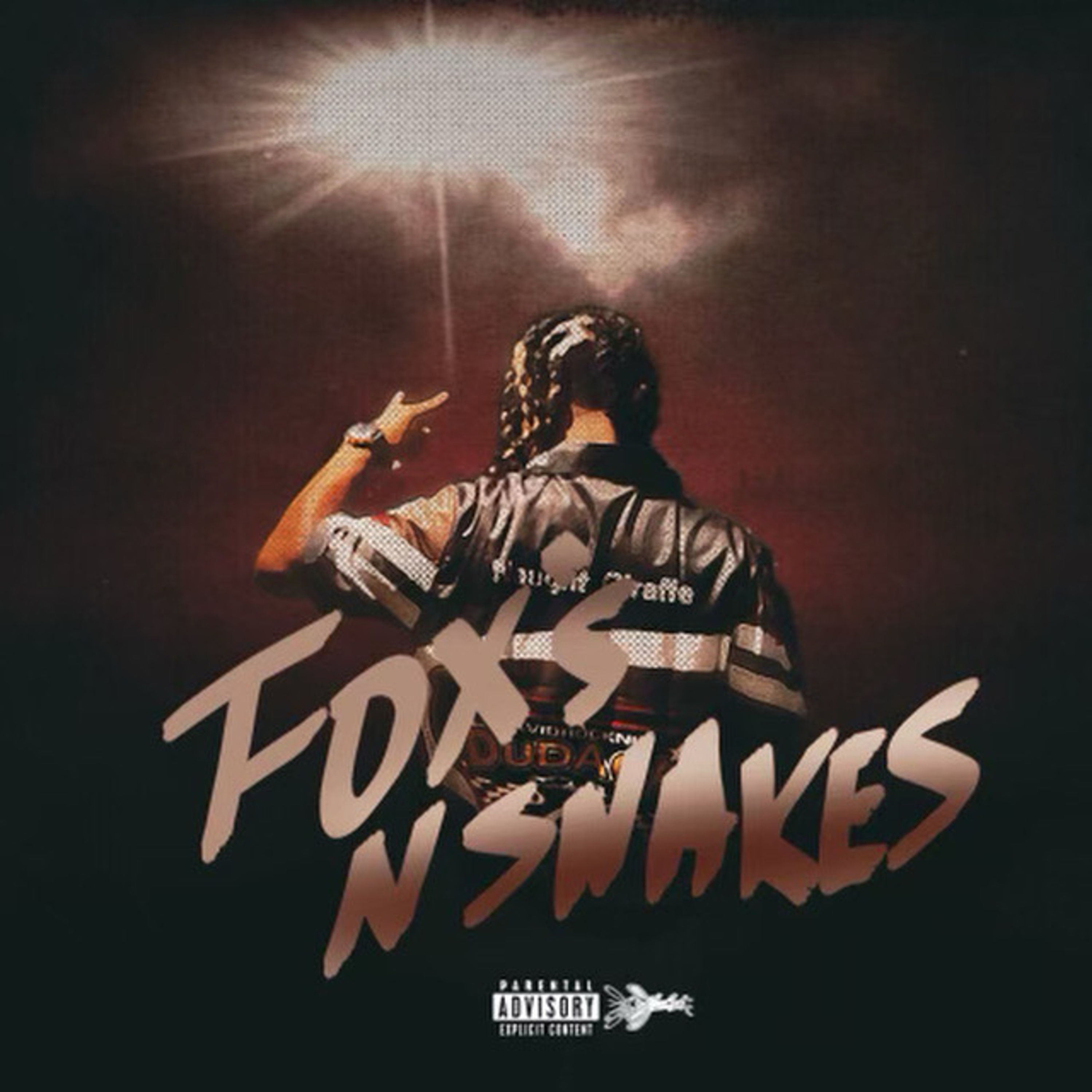 Fox's n Snakes artwork