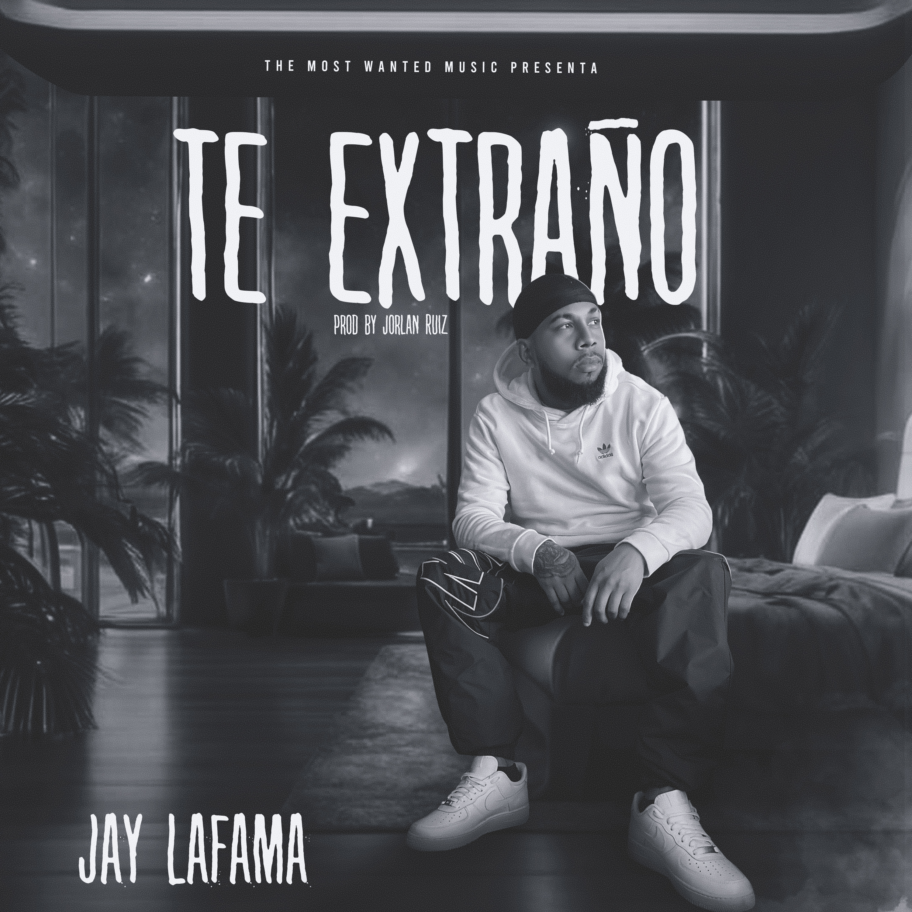 Te Extraño artwork
