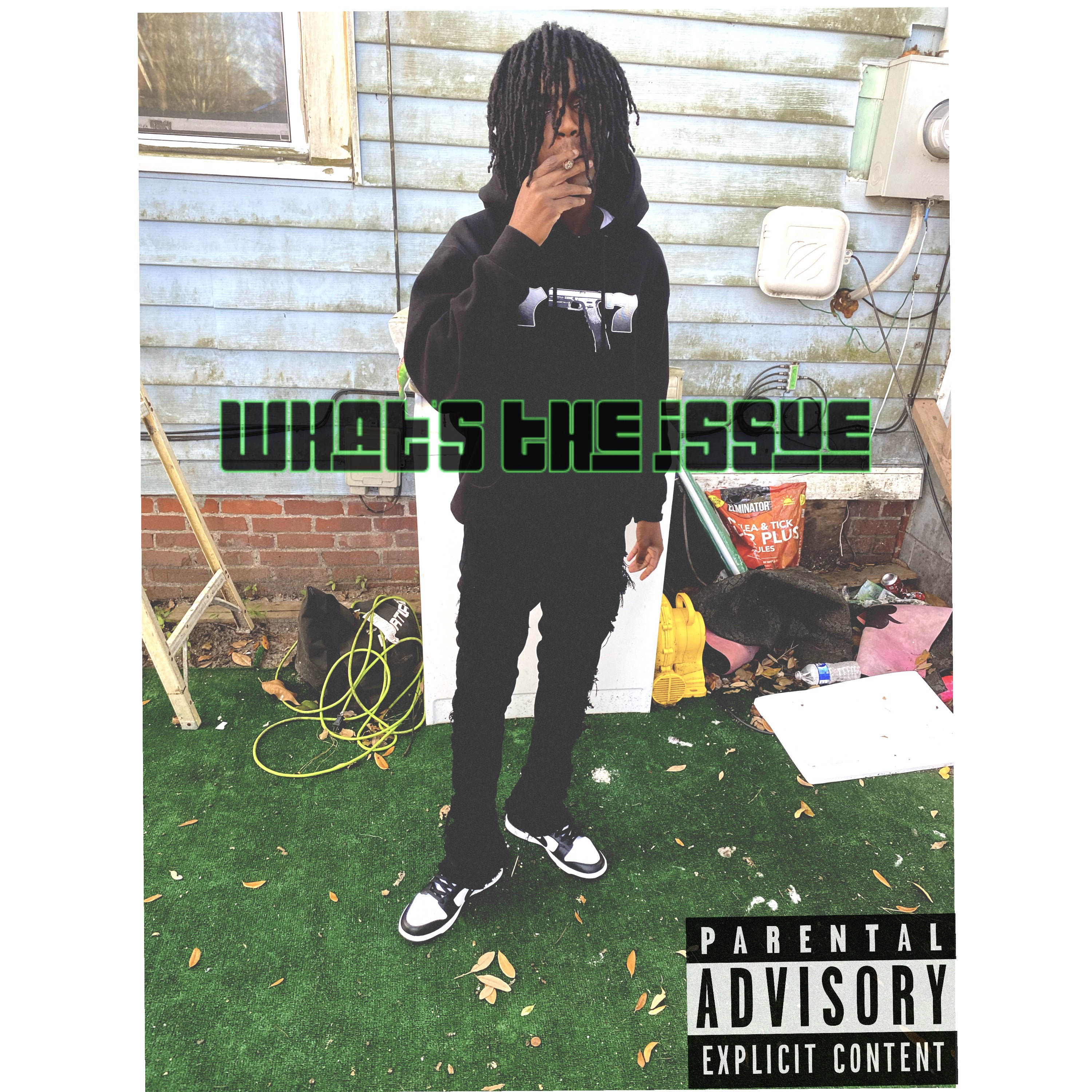 What’s The Issue artwork