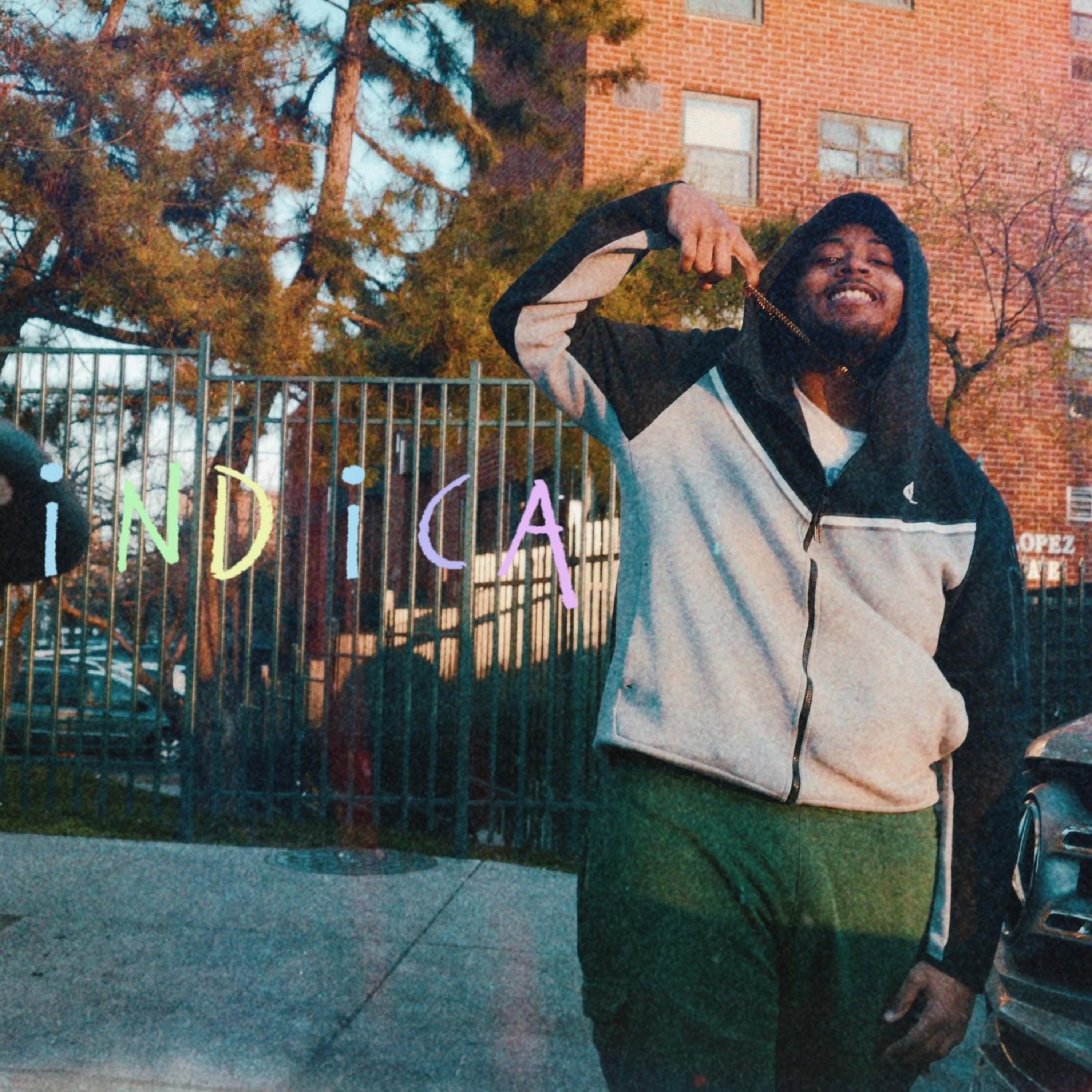 Indica artwork