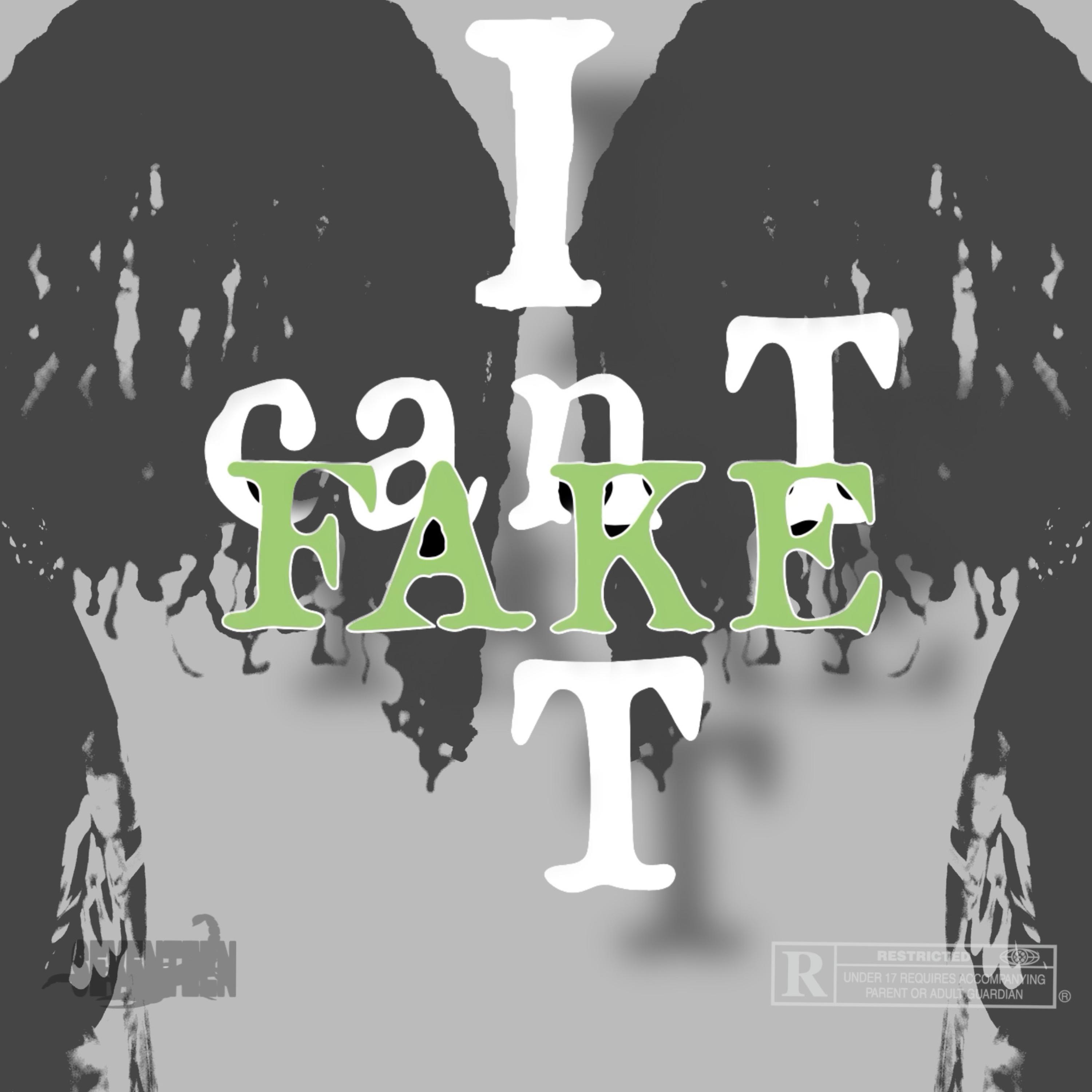 I Cant Fake It artwork