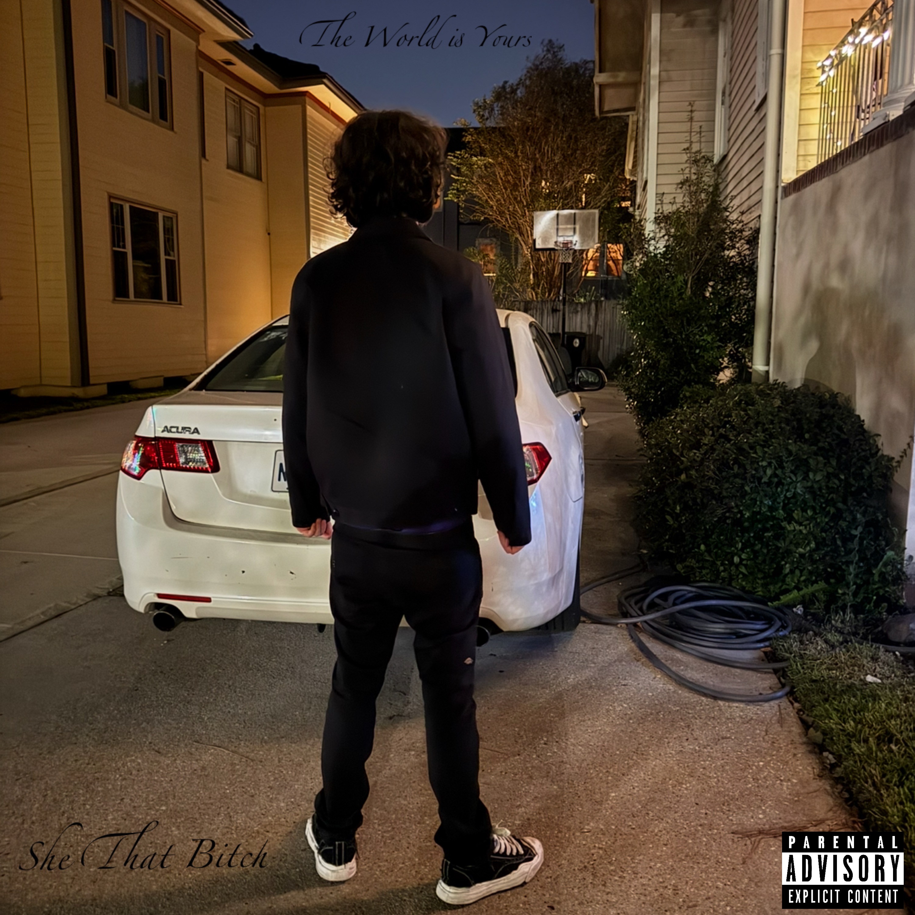 She That Bitch artwork