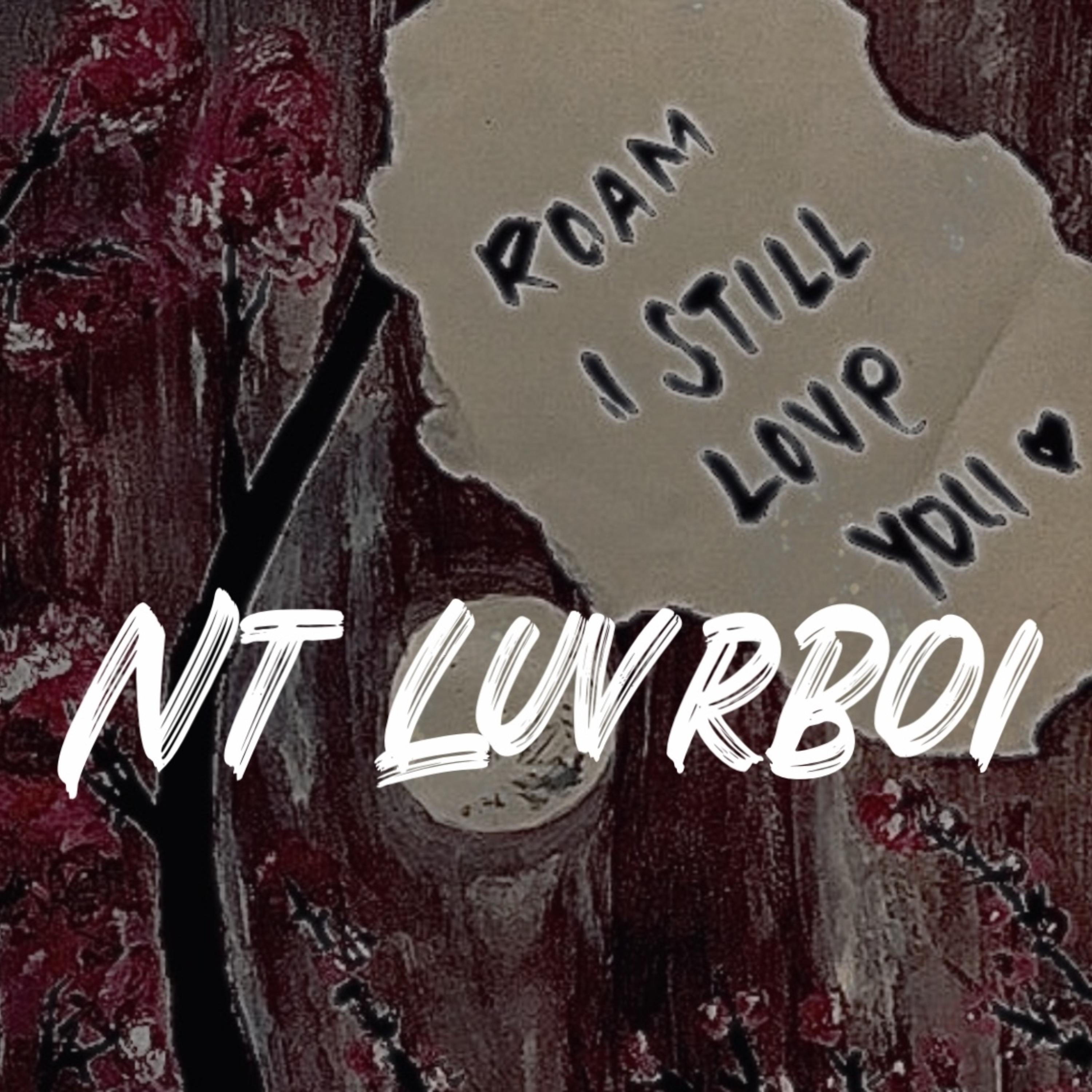 Nt LuvrBoi artwork