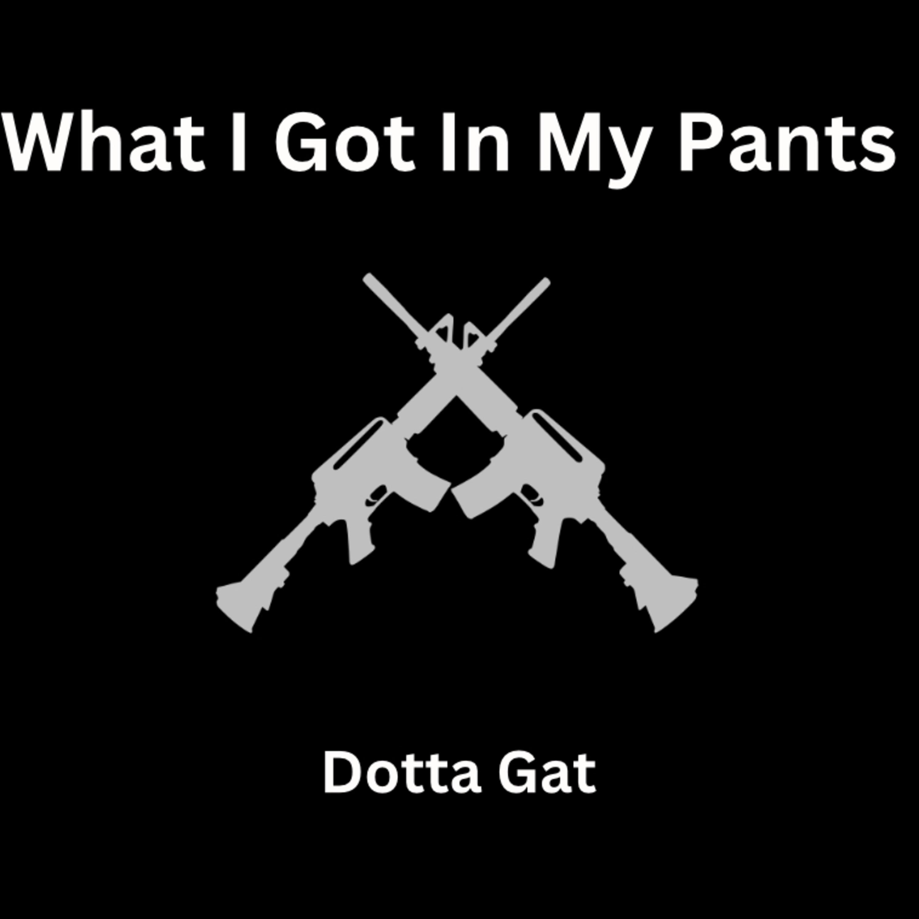 What I Got In My Pants artwork