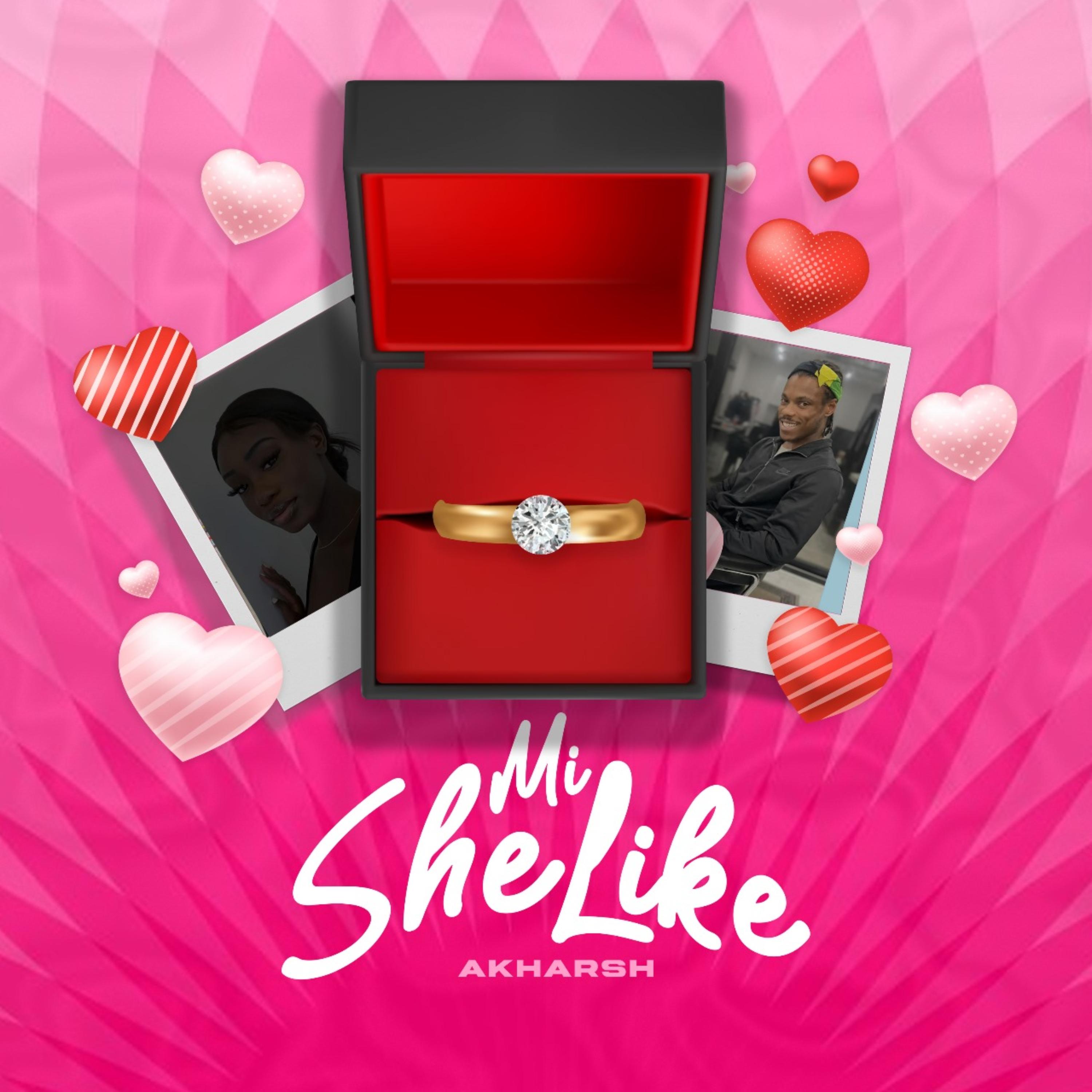 mi she like artwork