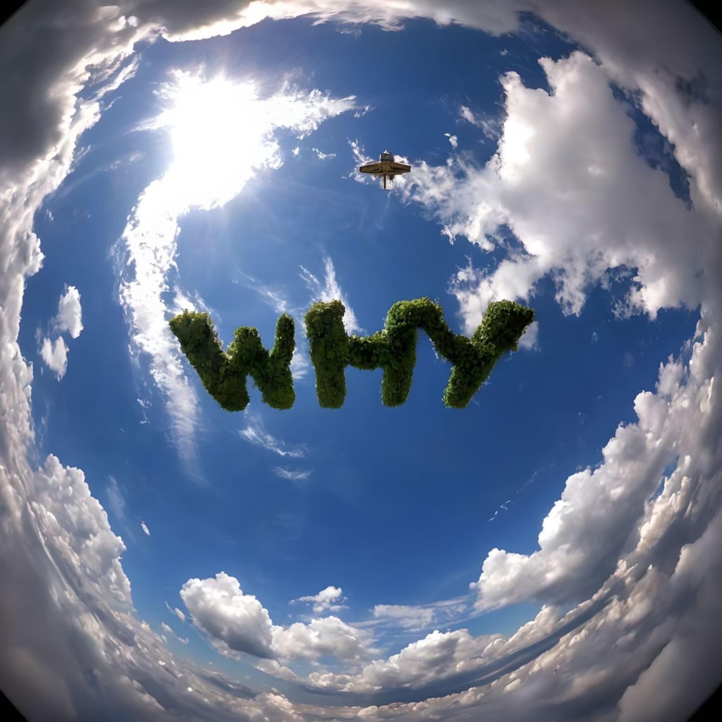 Why? artwork