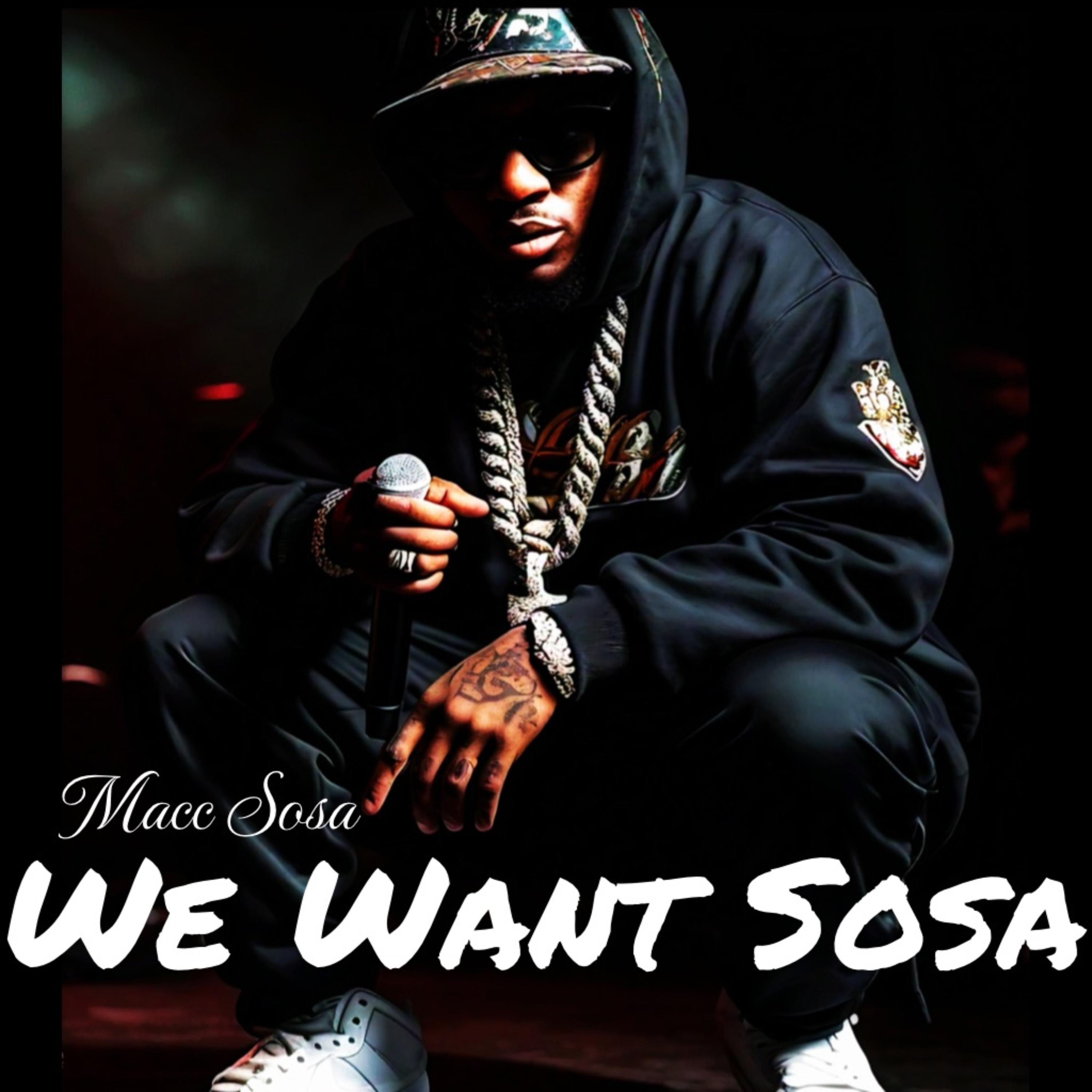 We Want Sosa artwork