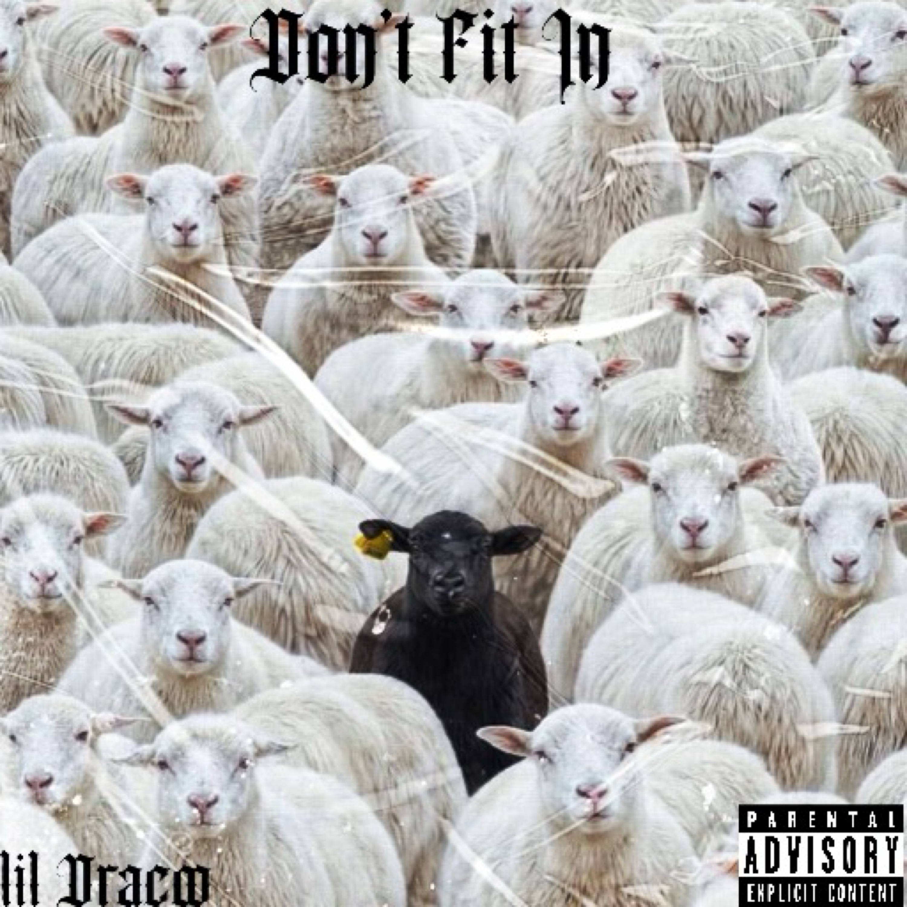 Don’t Fit In artwork