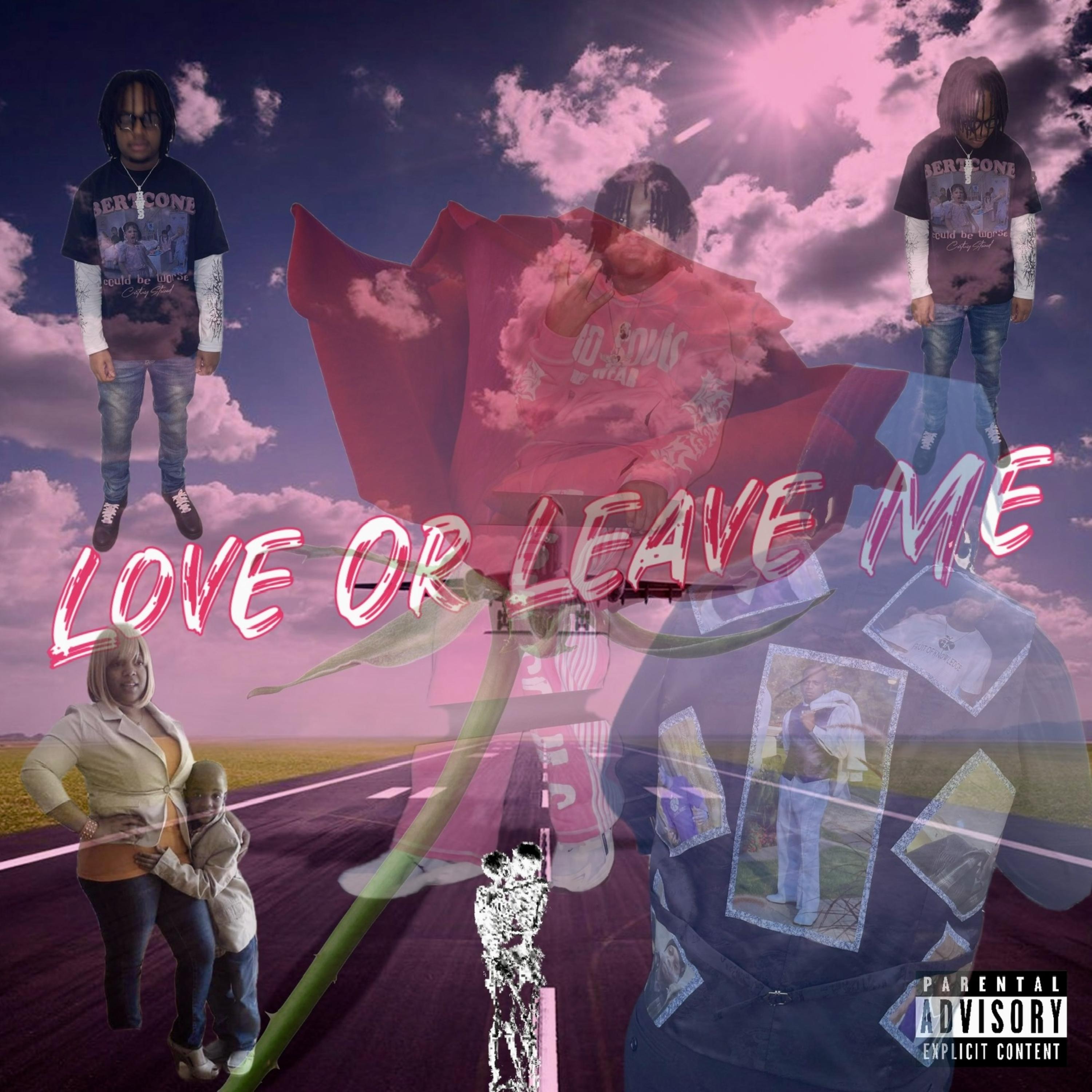 Love Or Leave Me artwork