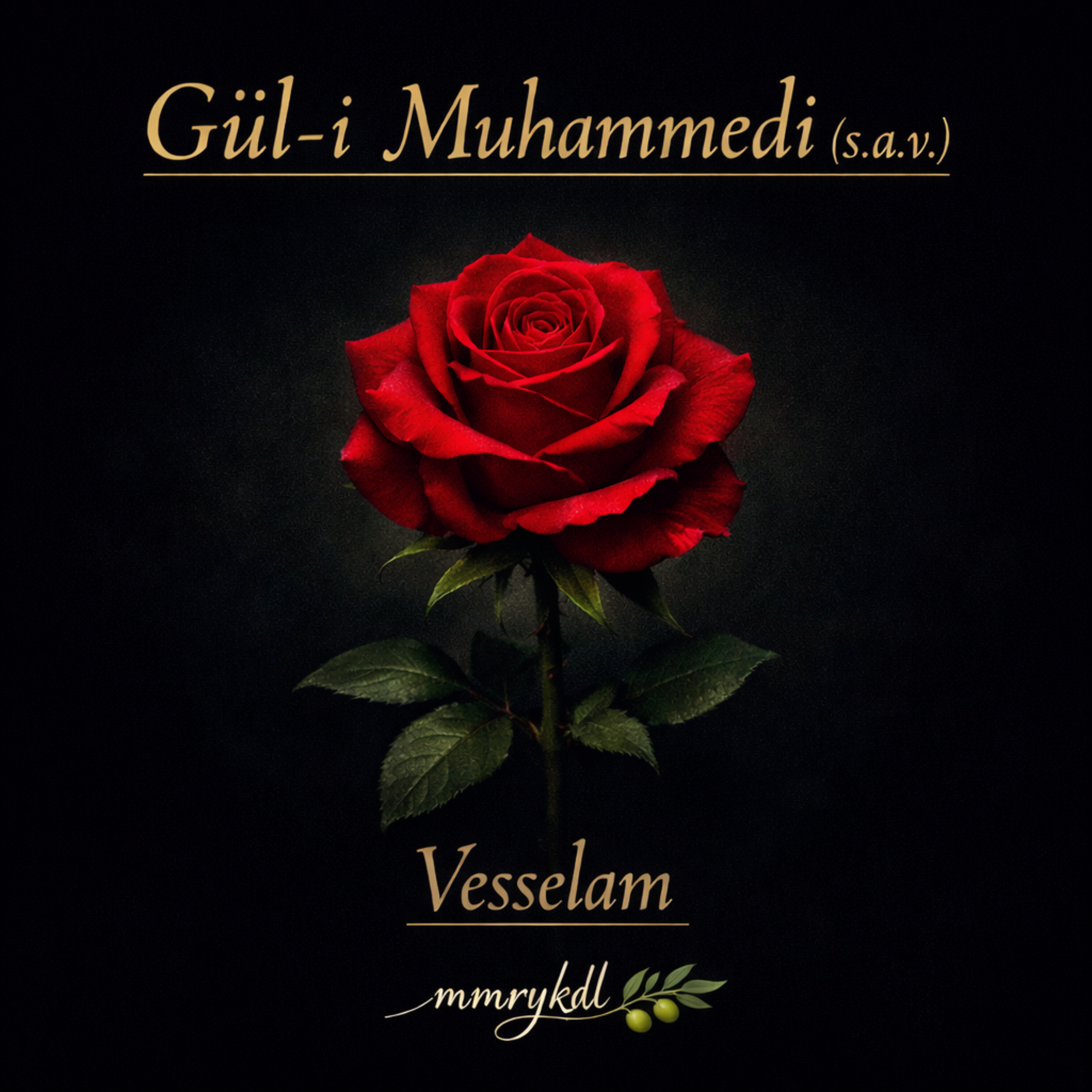 Gül-i Muhammedi (s.a.v.) – Vesselam by MMRYKDL cover art
