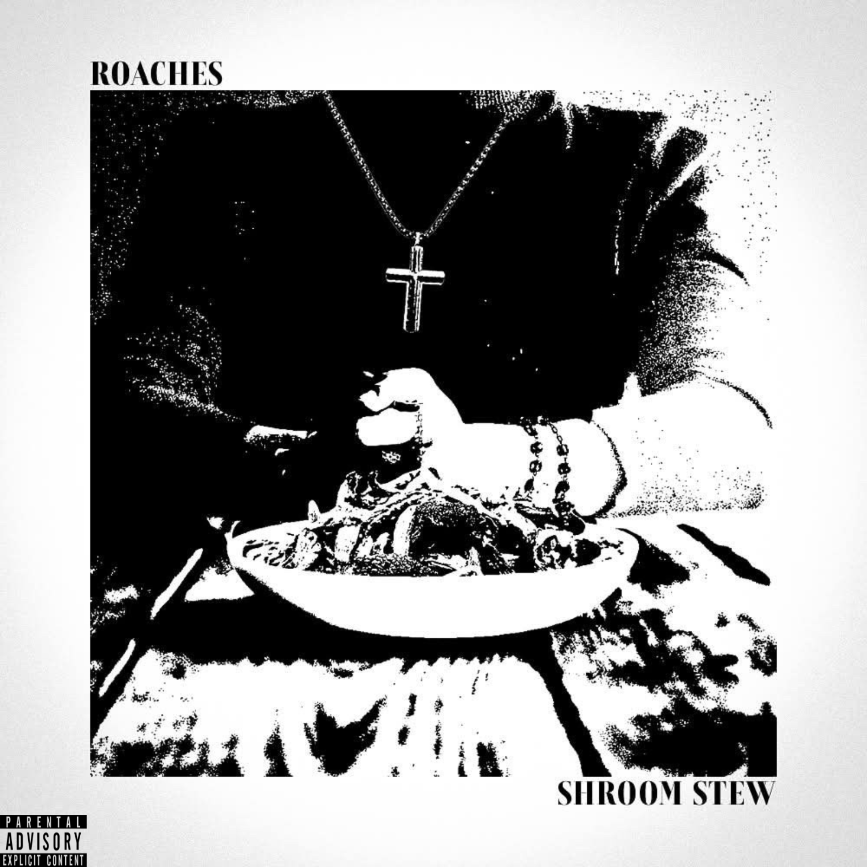 SHROOM STEW artwork