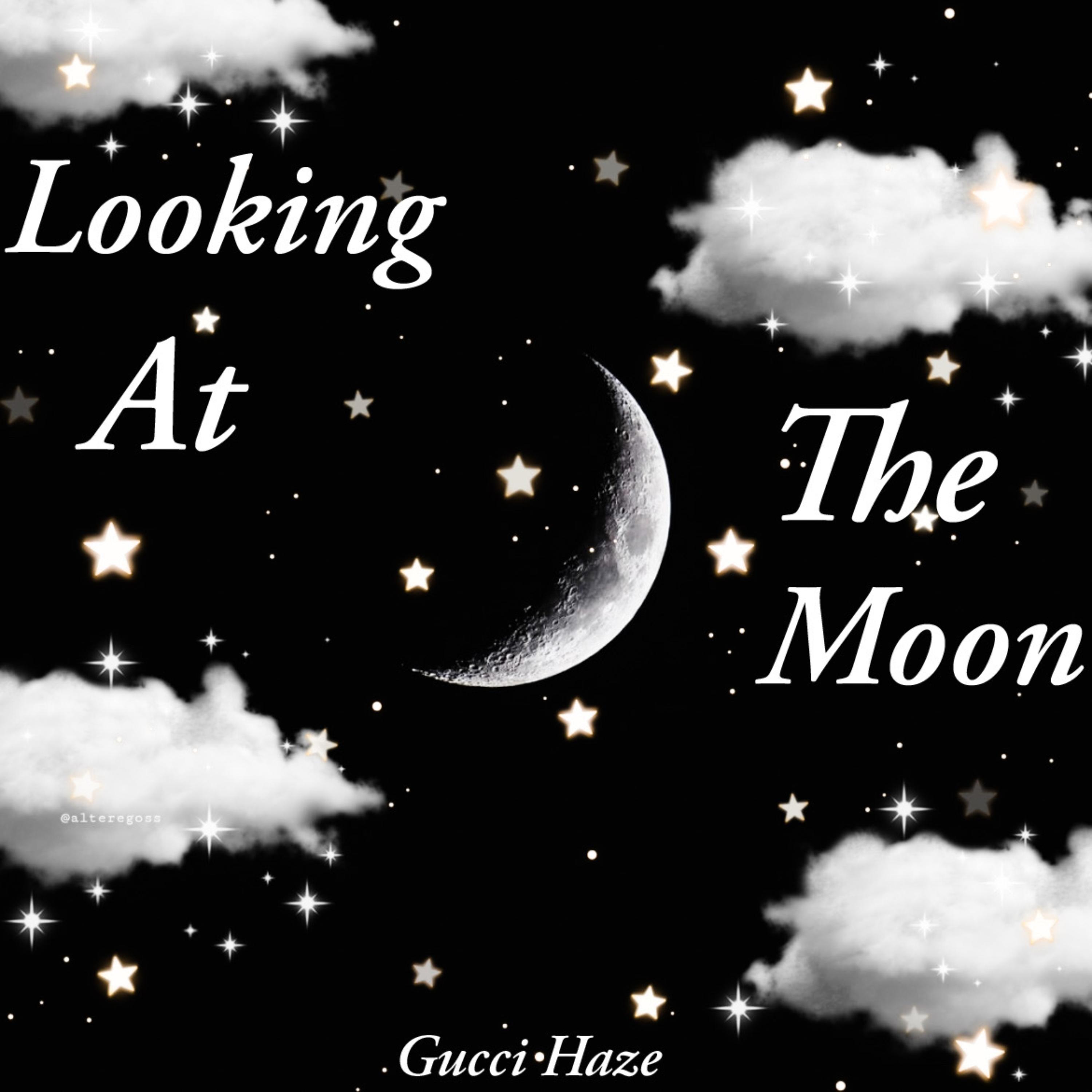 Looking At The Moon artwork