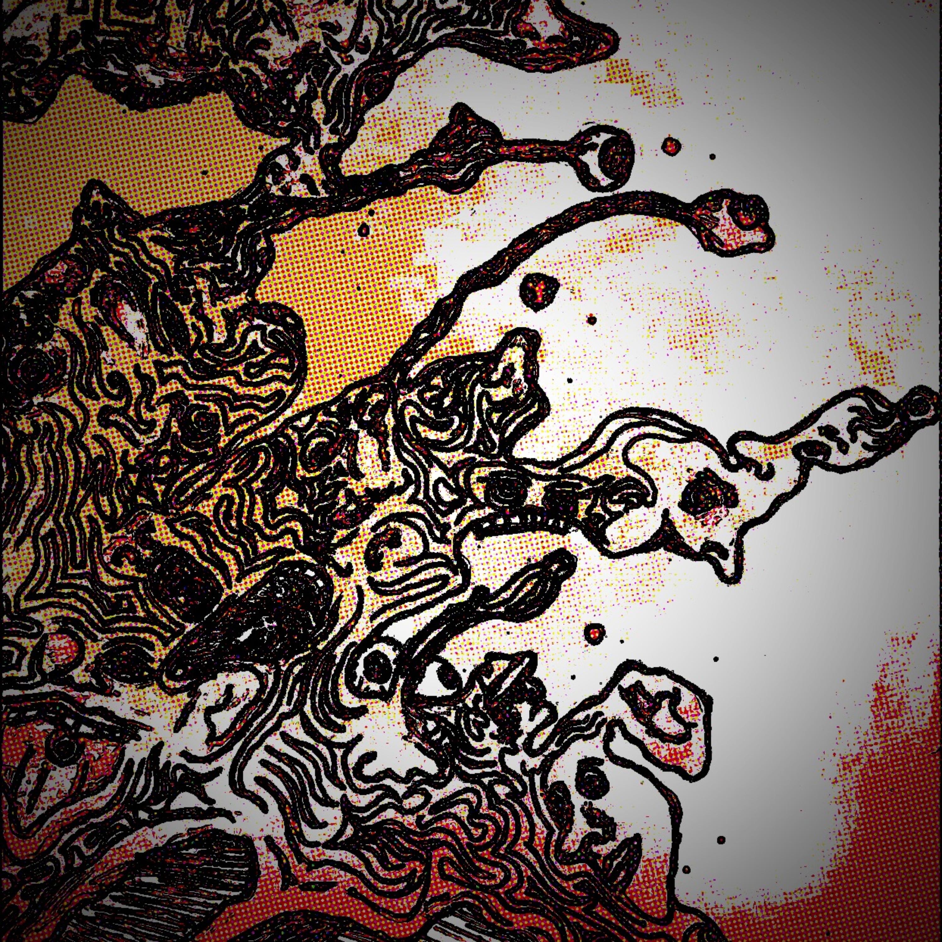 WHOOPS artwork