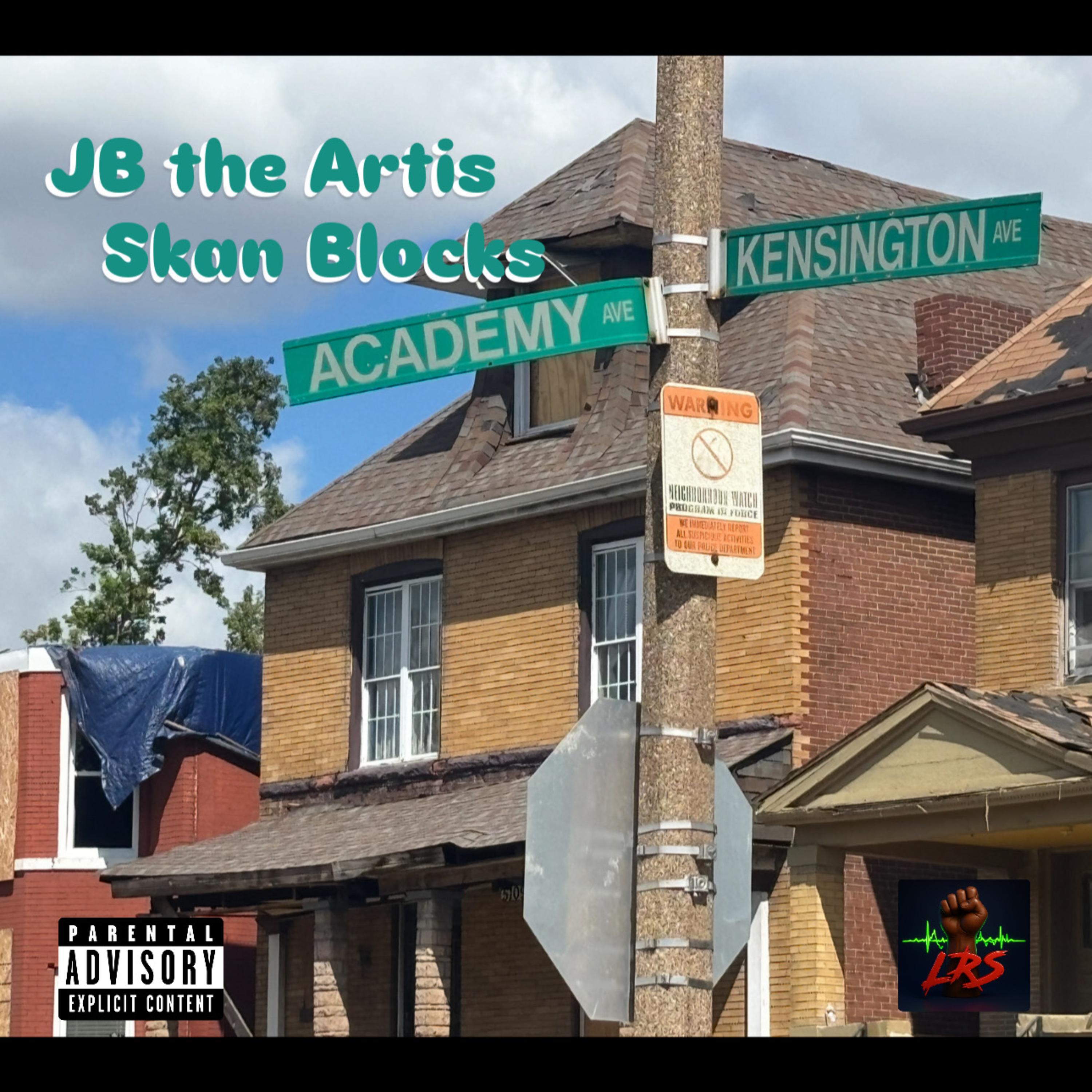 Skan Blocks artwork
