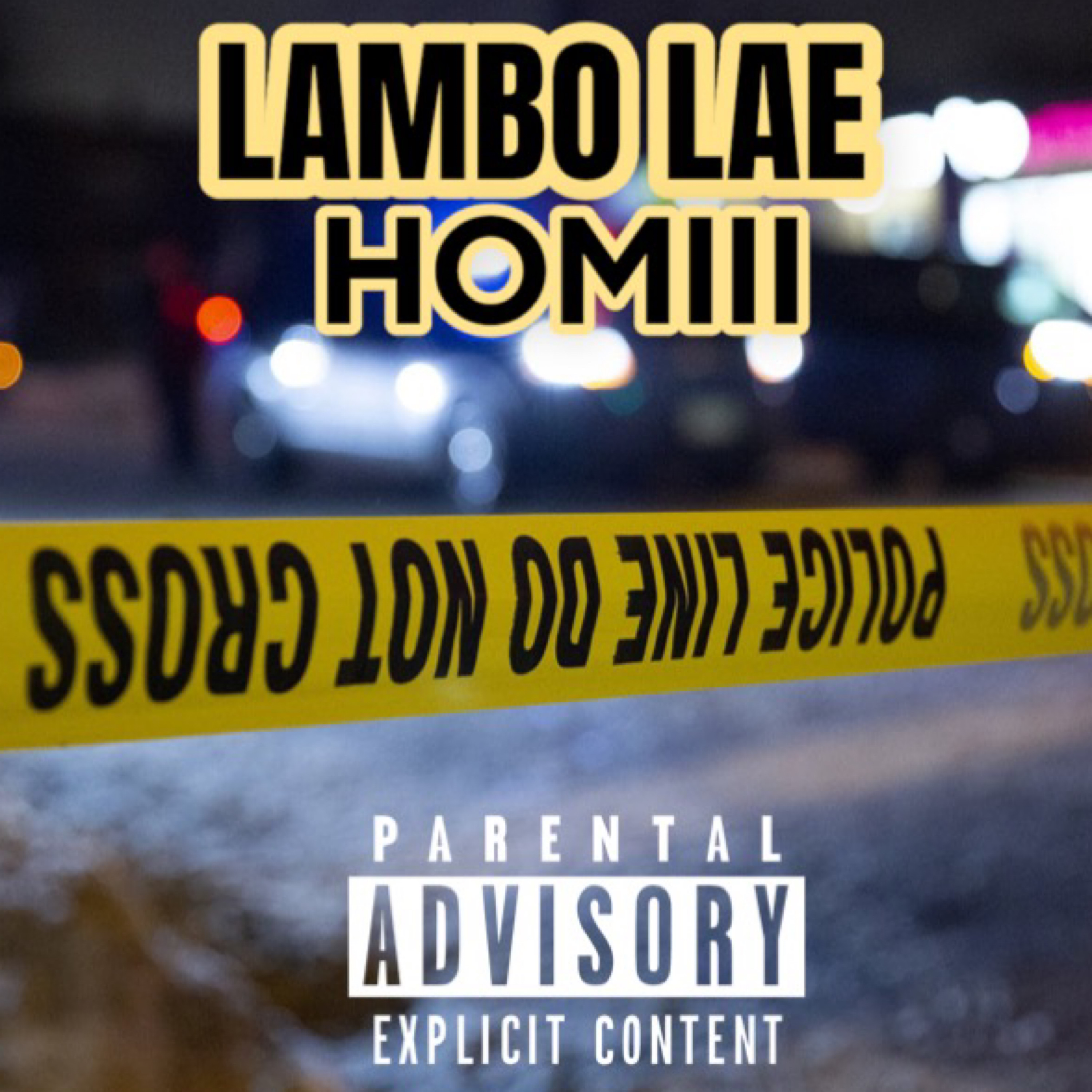 HOMIII artwork