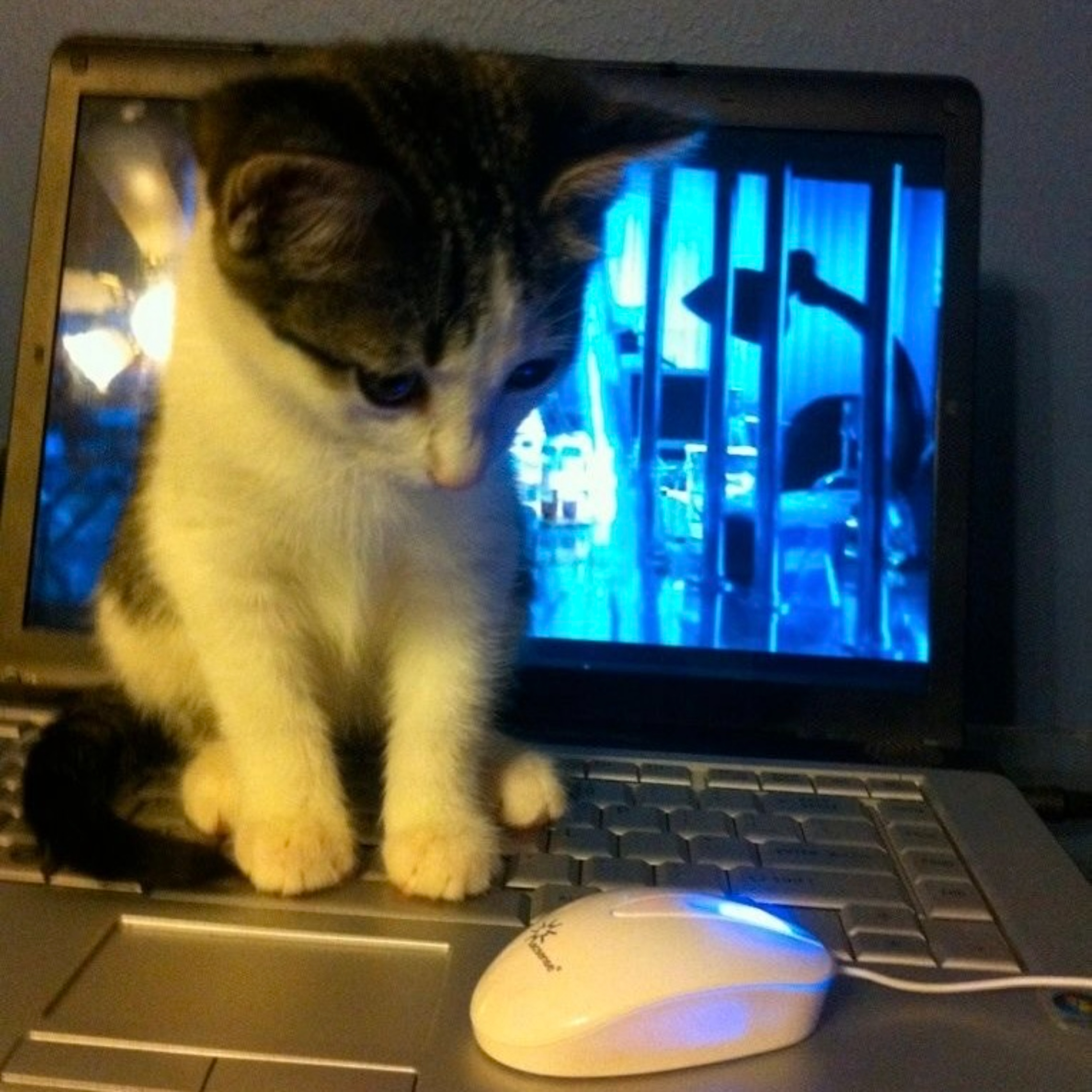 cantgetenough artwork