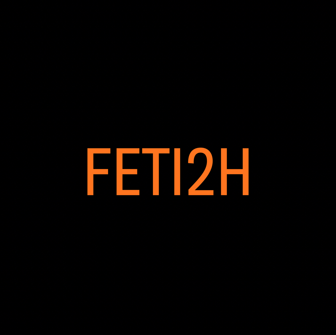 FETI2H