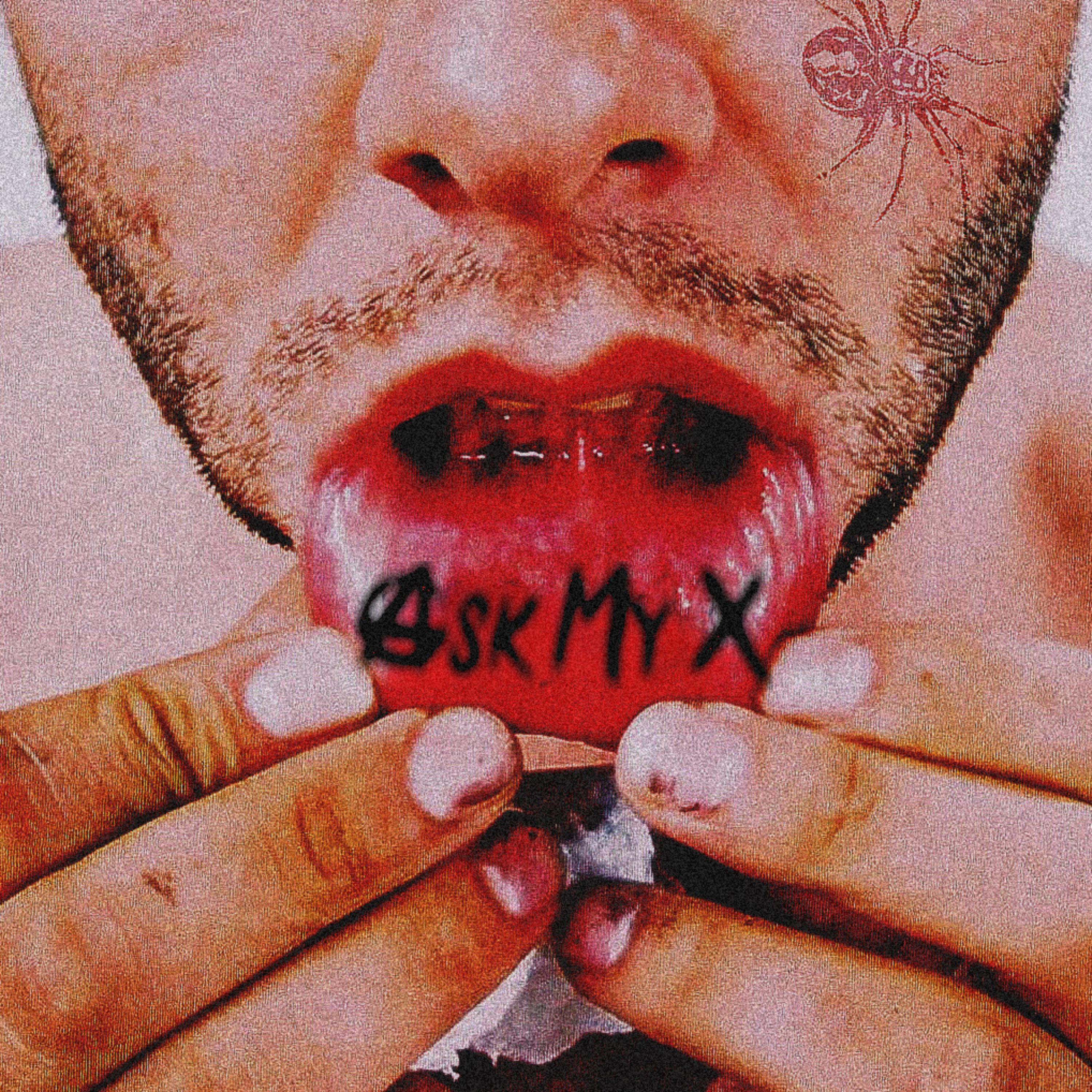 You Can Ask My X artwork