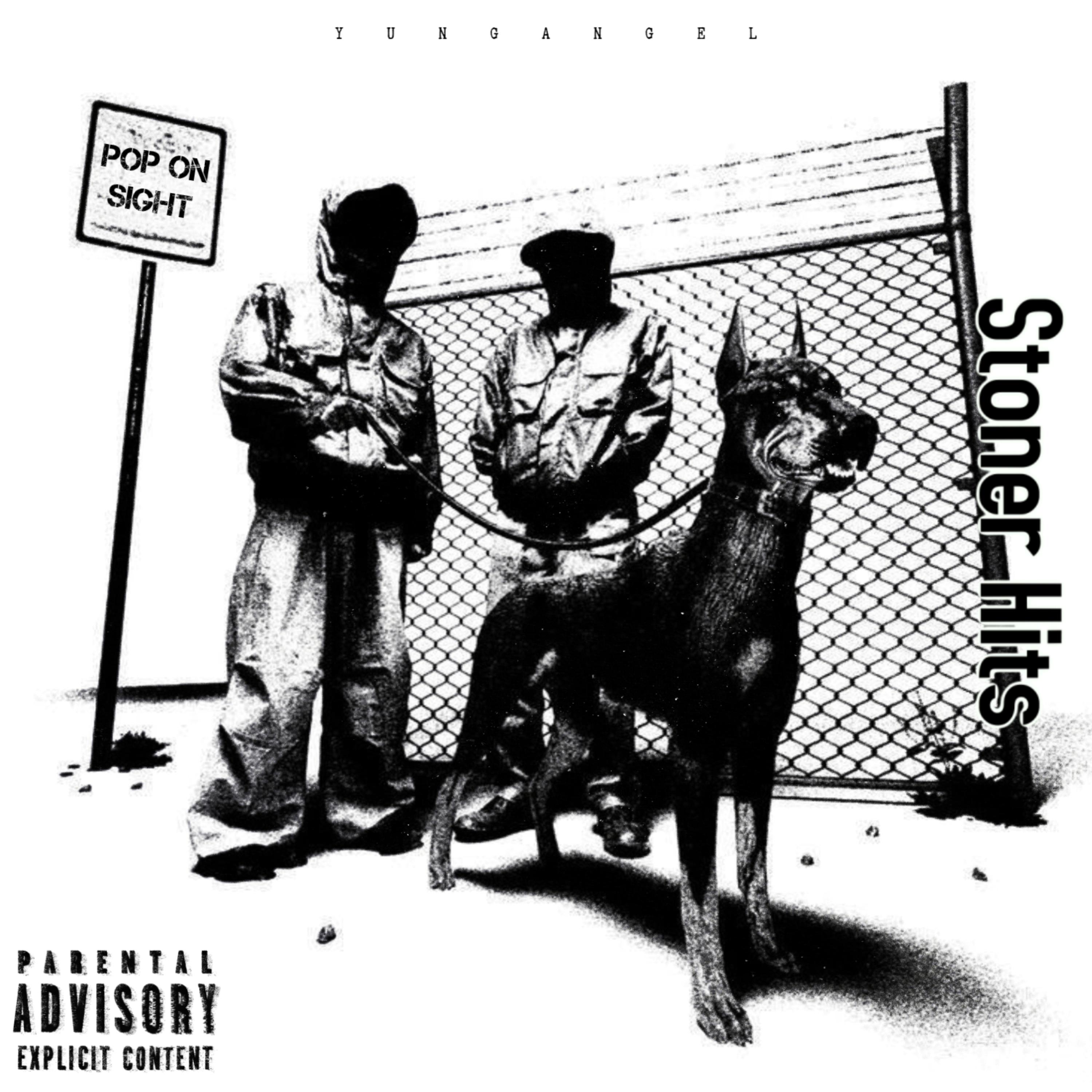 POP ON SIGHT artwork