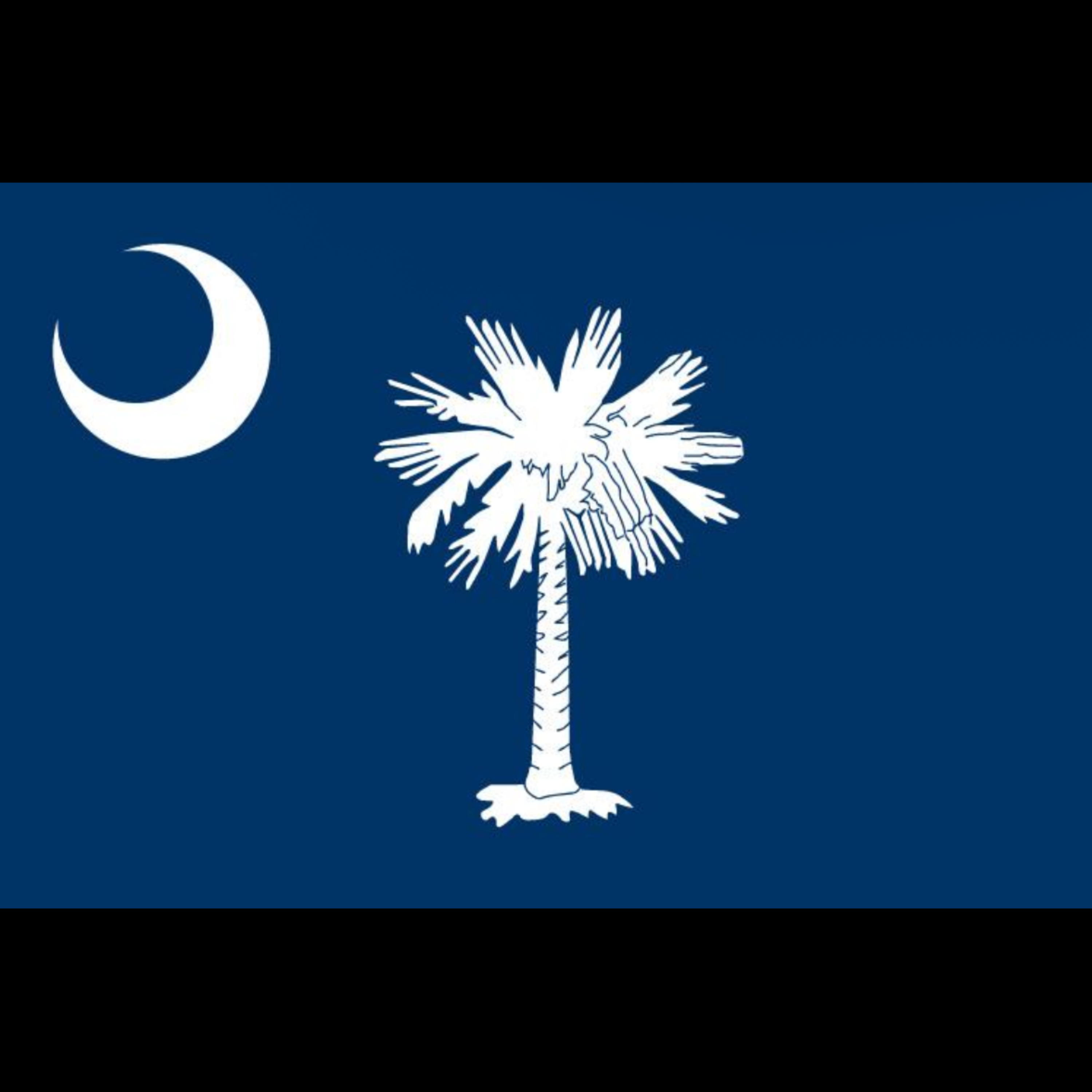 10pm In Sumter by Wody Rollin cover art