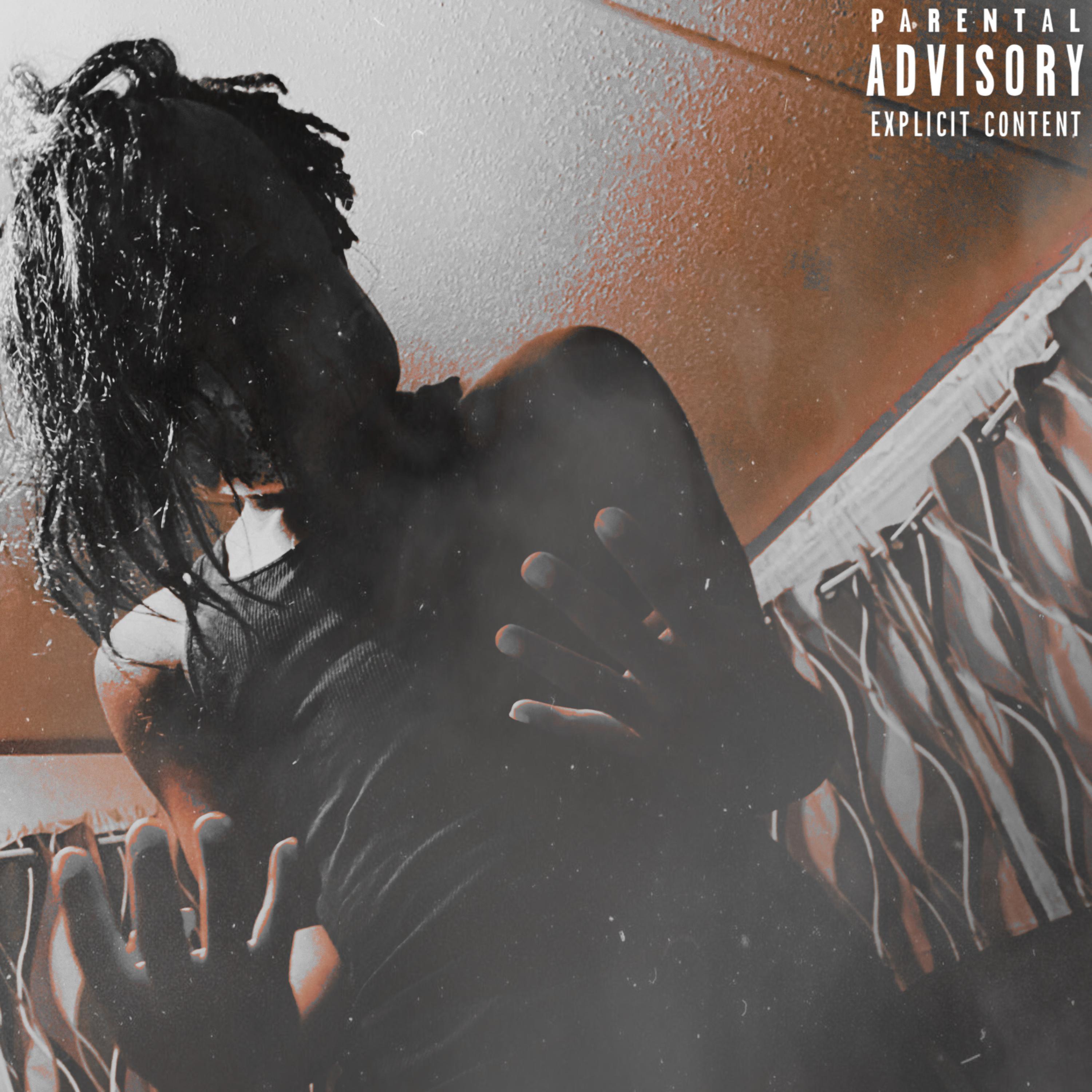 DisJust4Fun2 artwork
