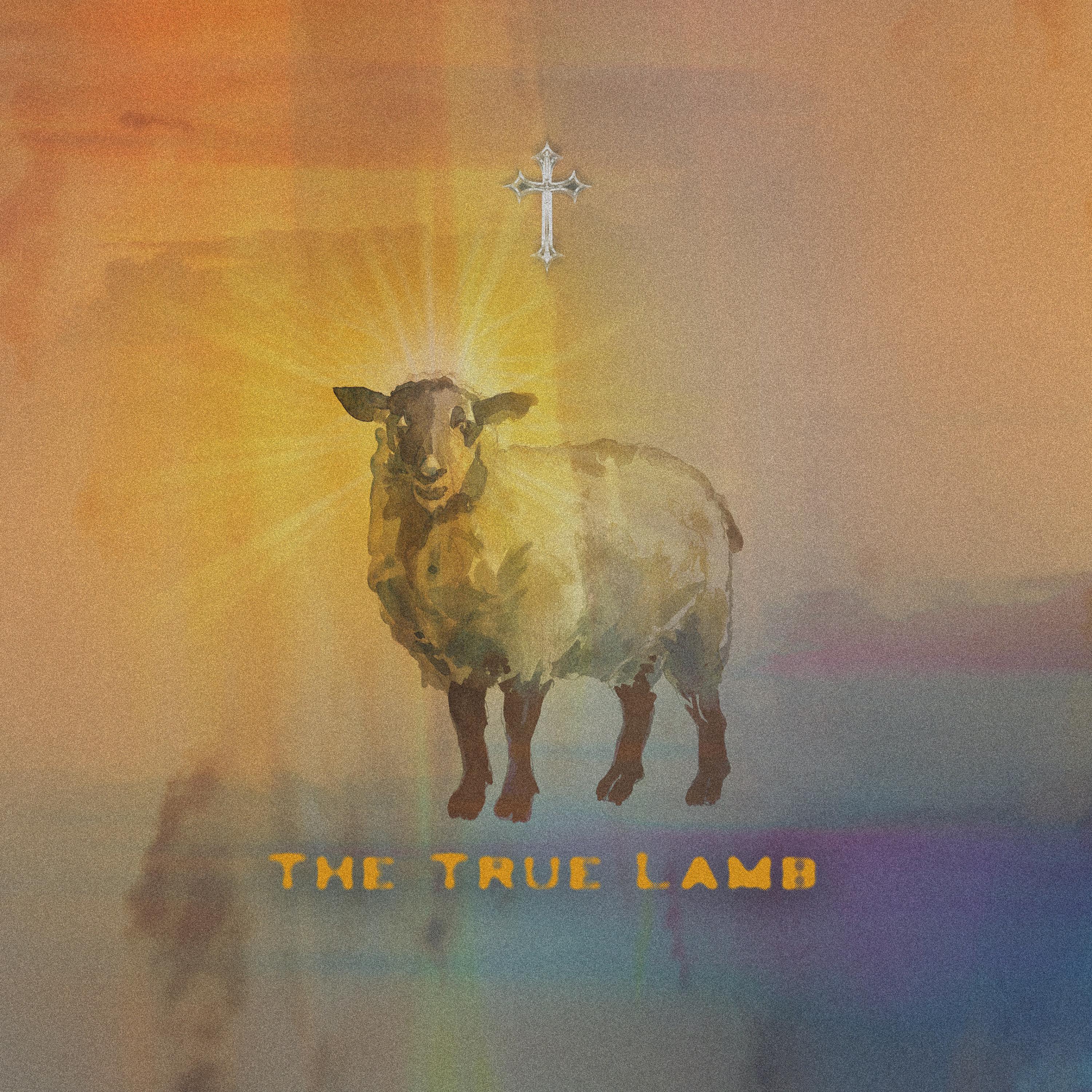 The True Lamb artwork