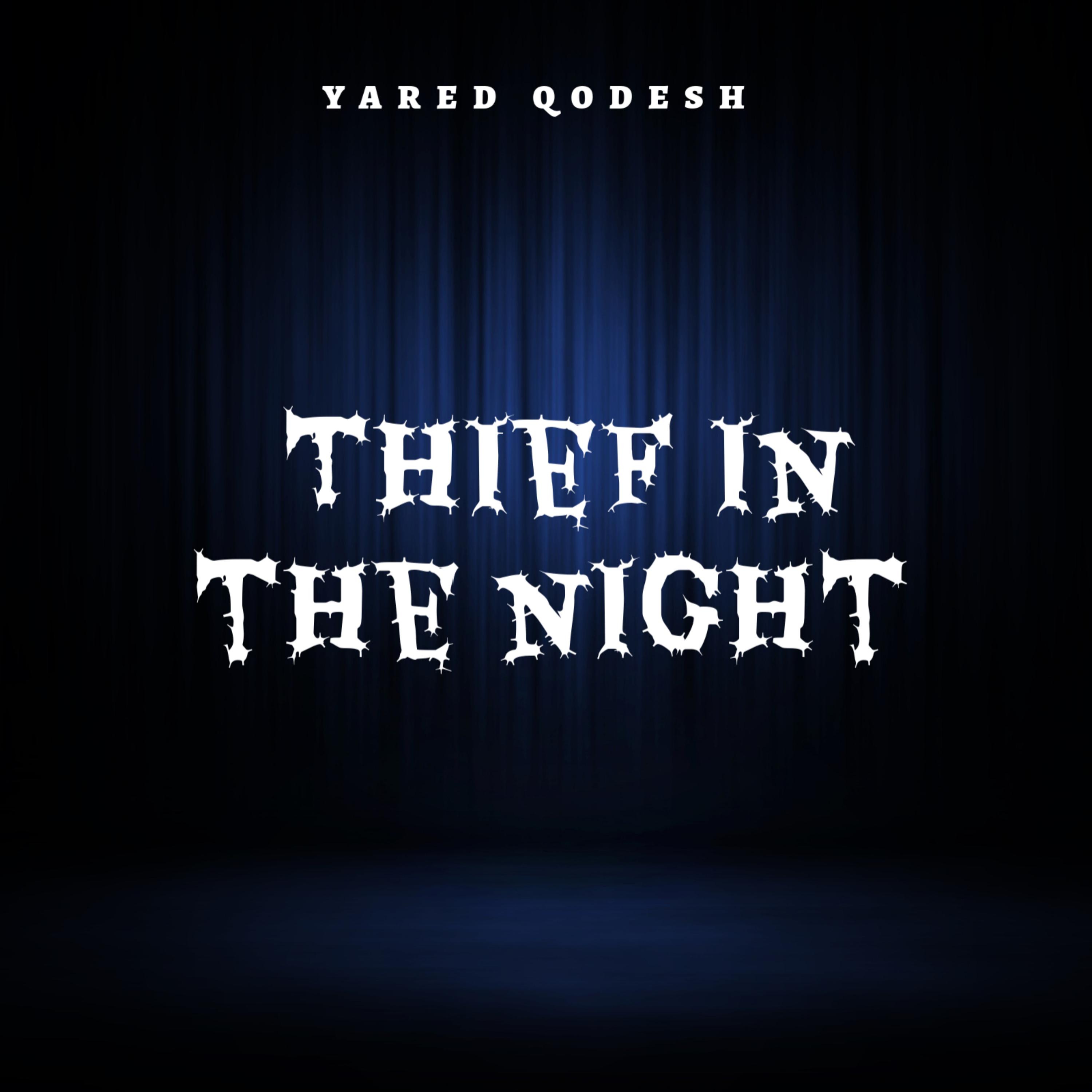Thief In The Night artwork
