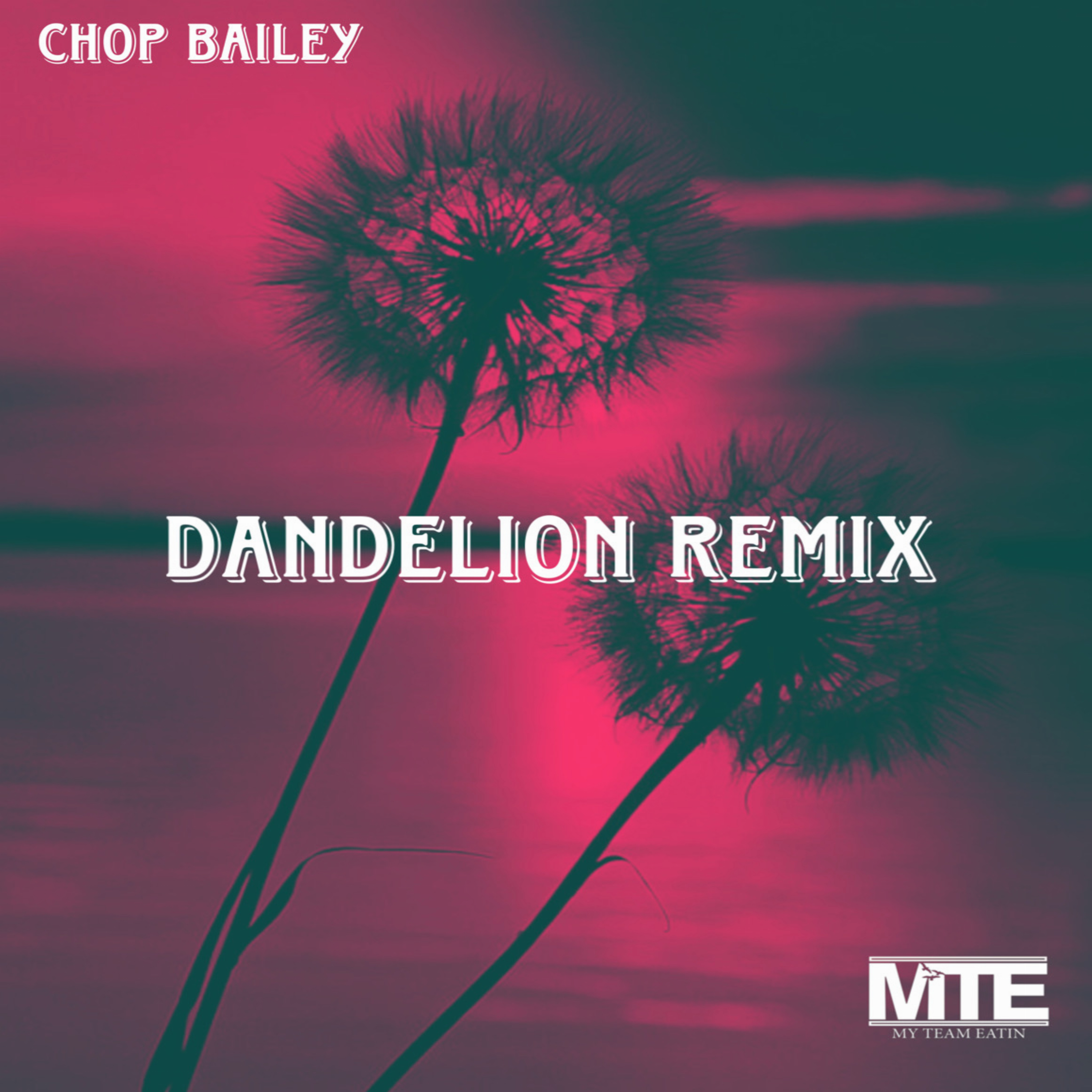 Dandelions (Remix) artwork