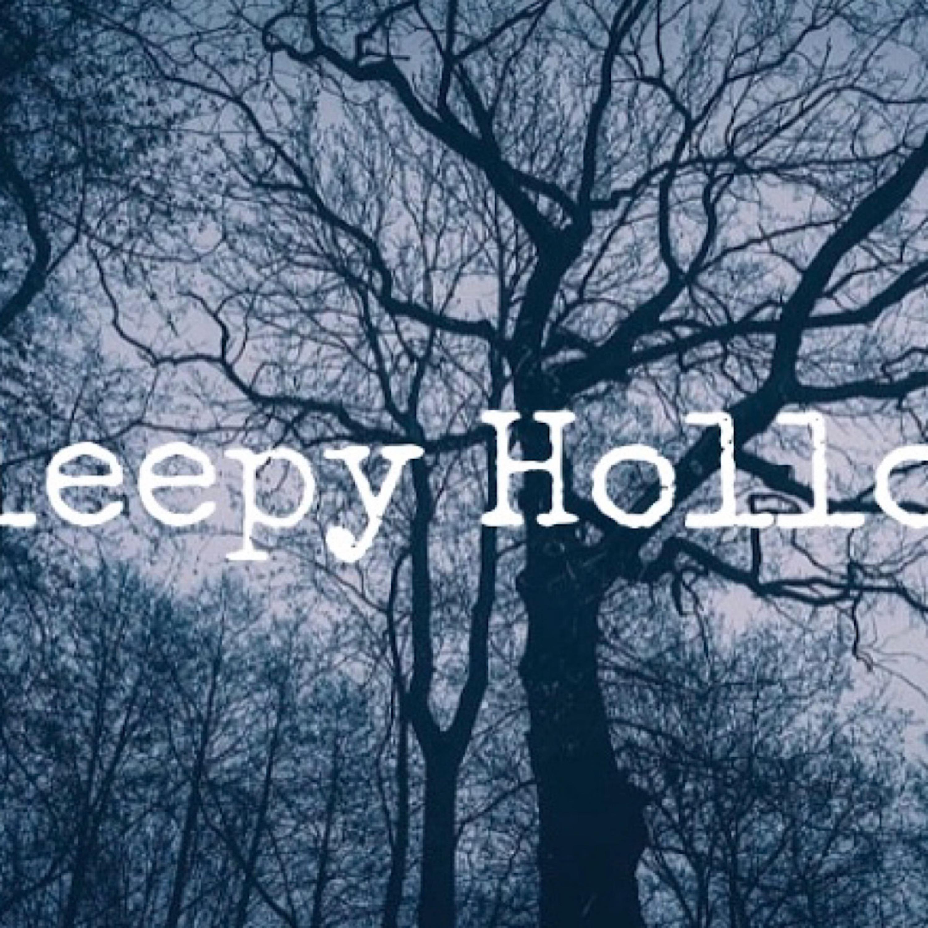 Sleepy Hollow artwork