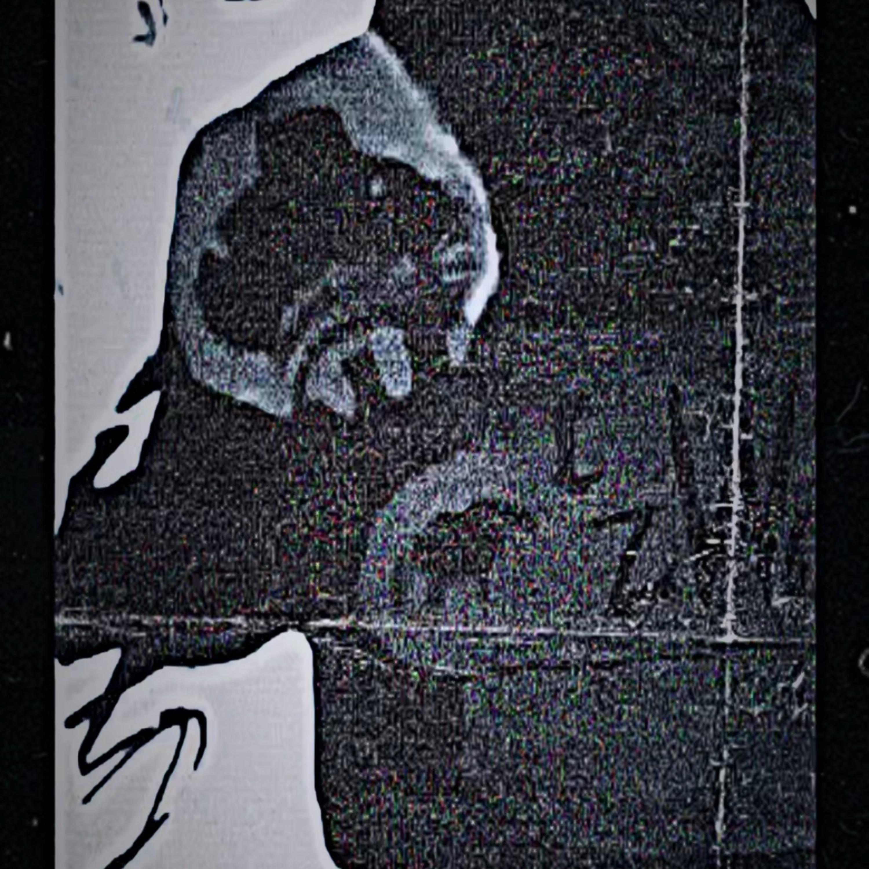 HANGN artwork