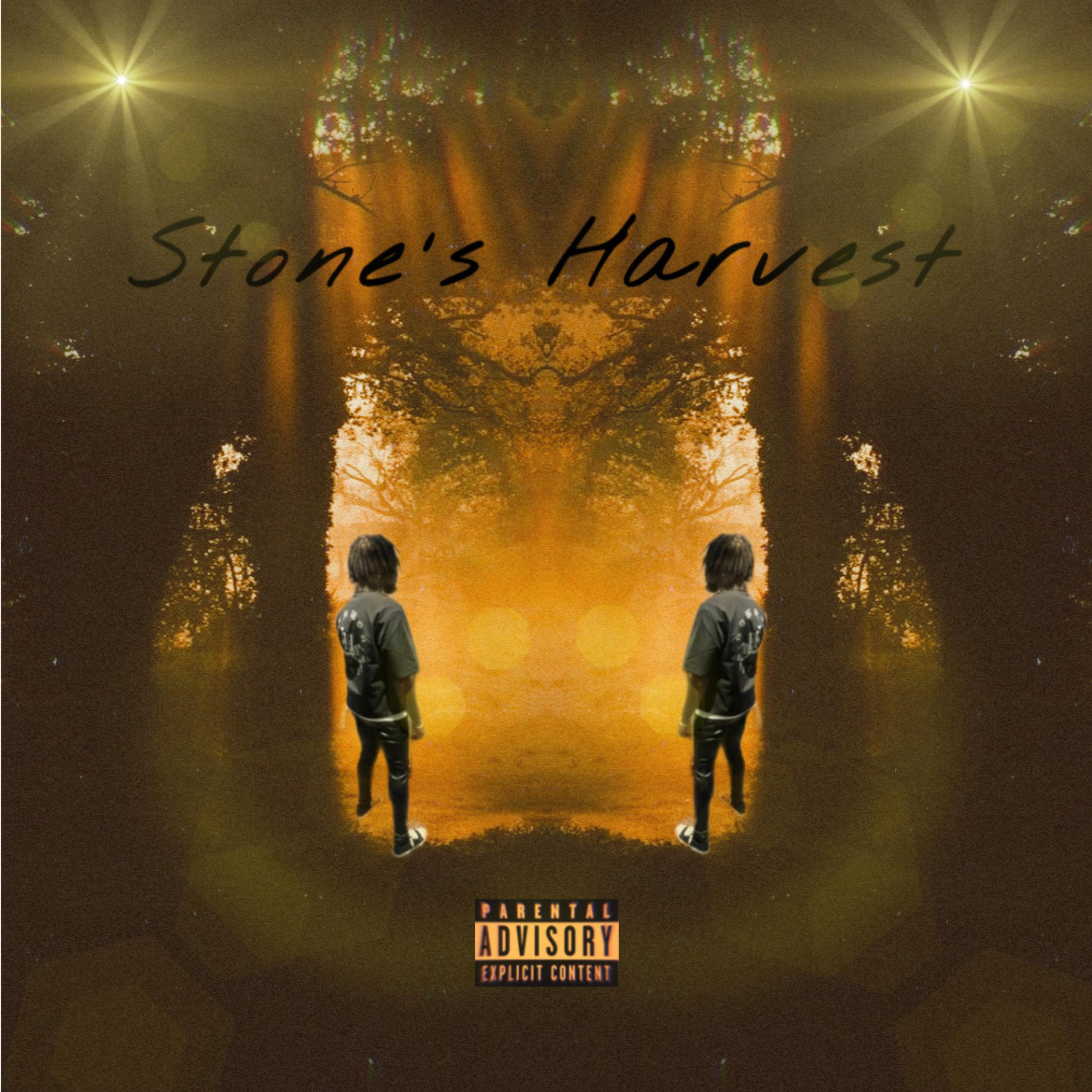 Stone’s Harvest artwork