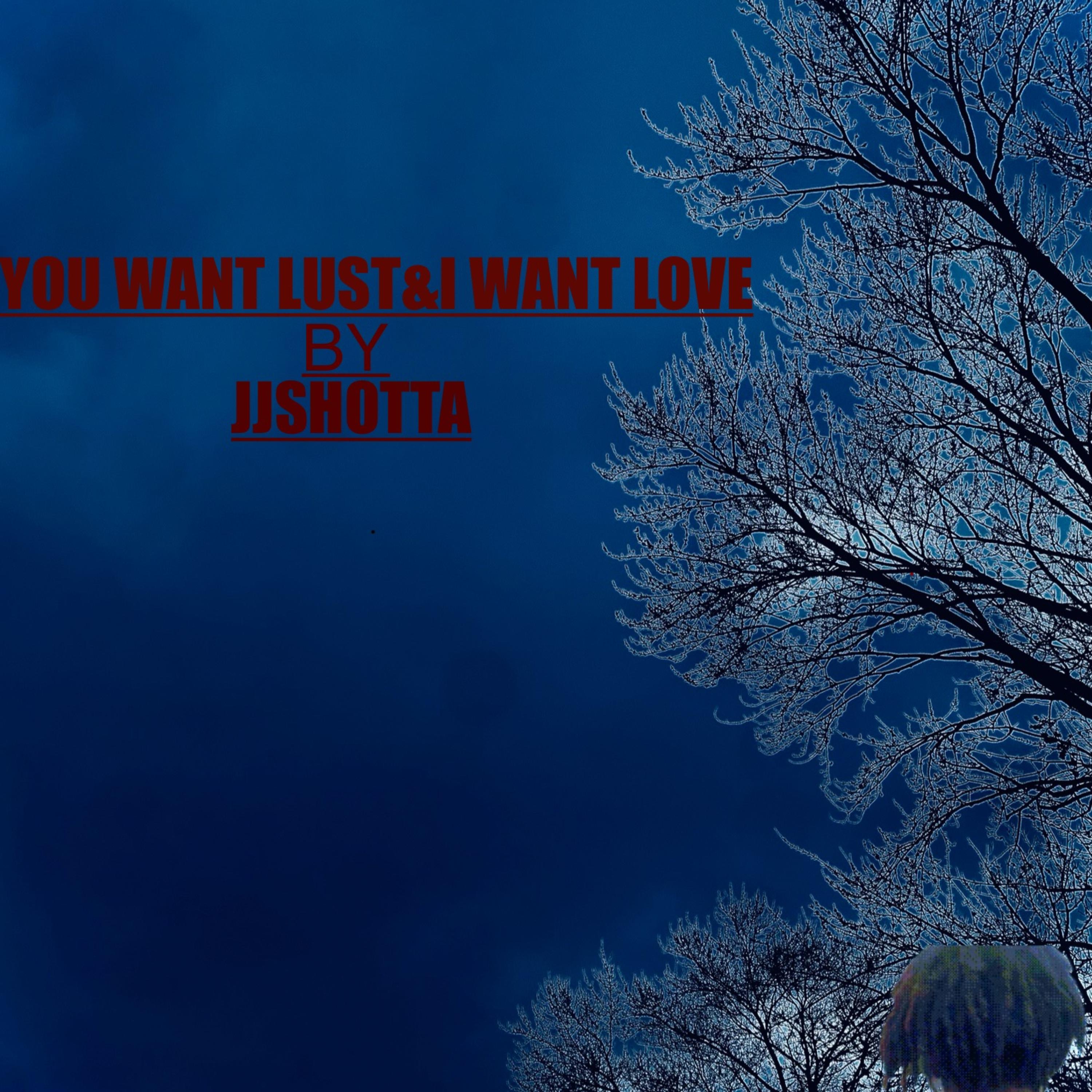 You Want Lust & I Want Love artwork