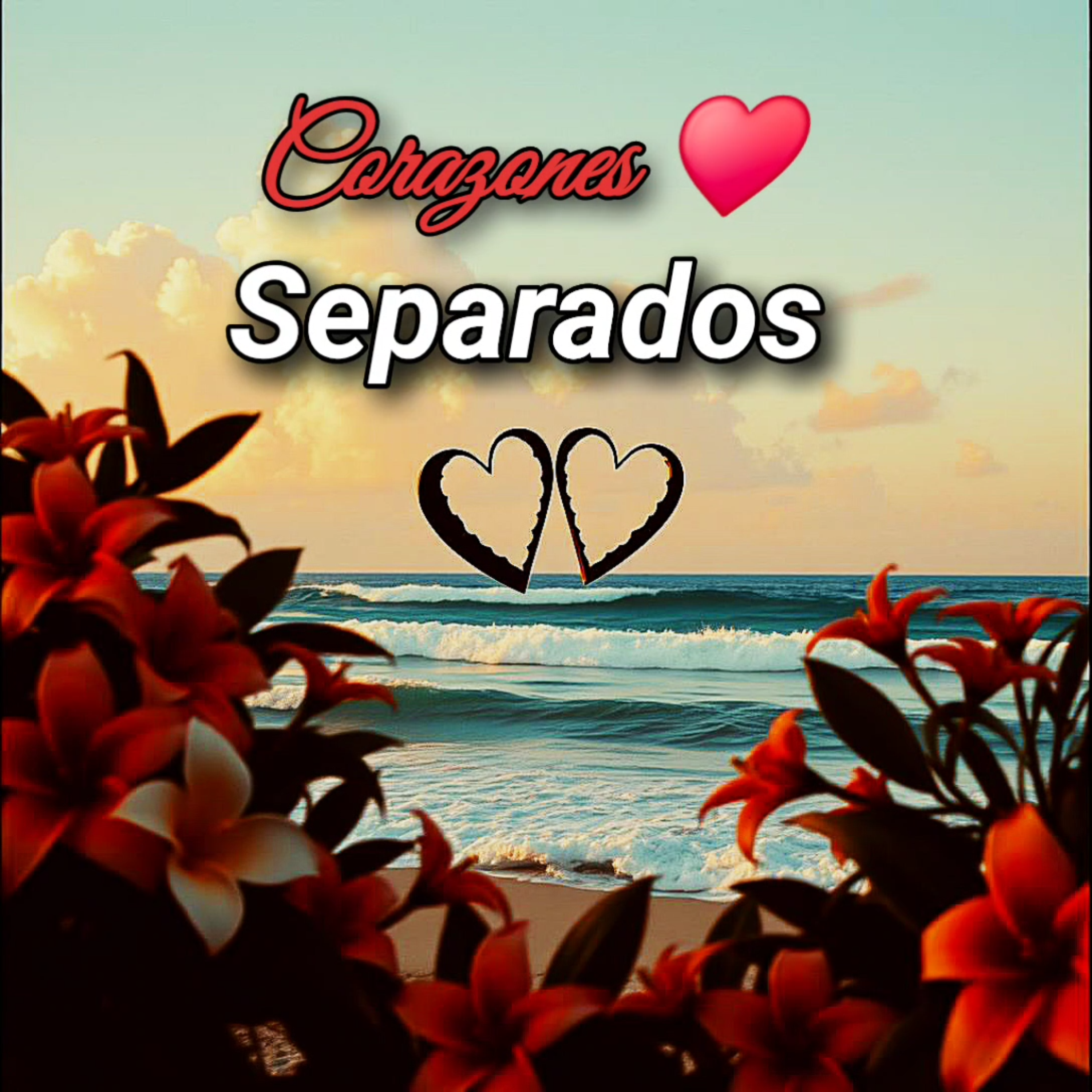 Corazones Separados artwork