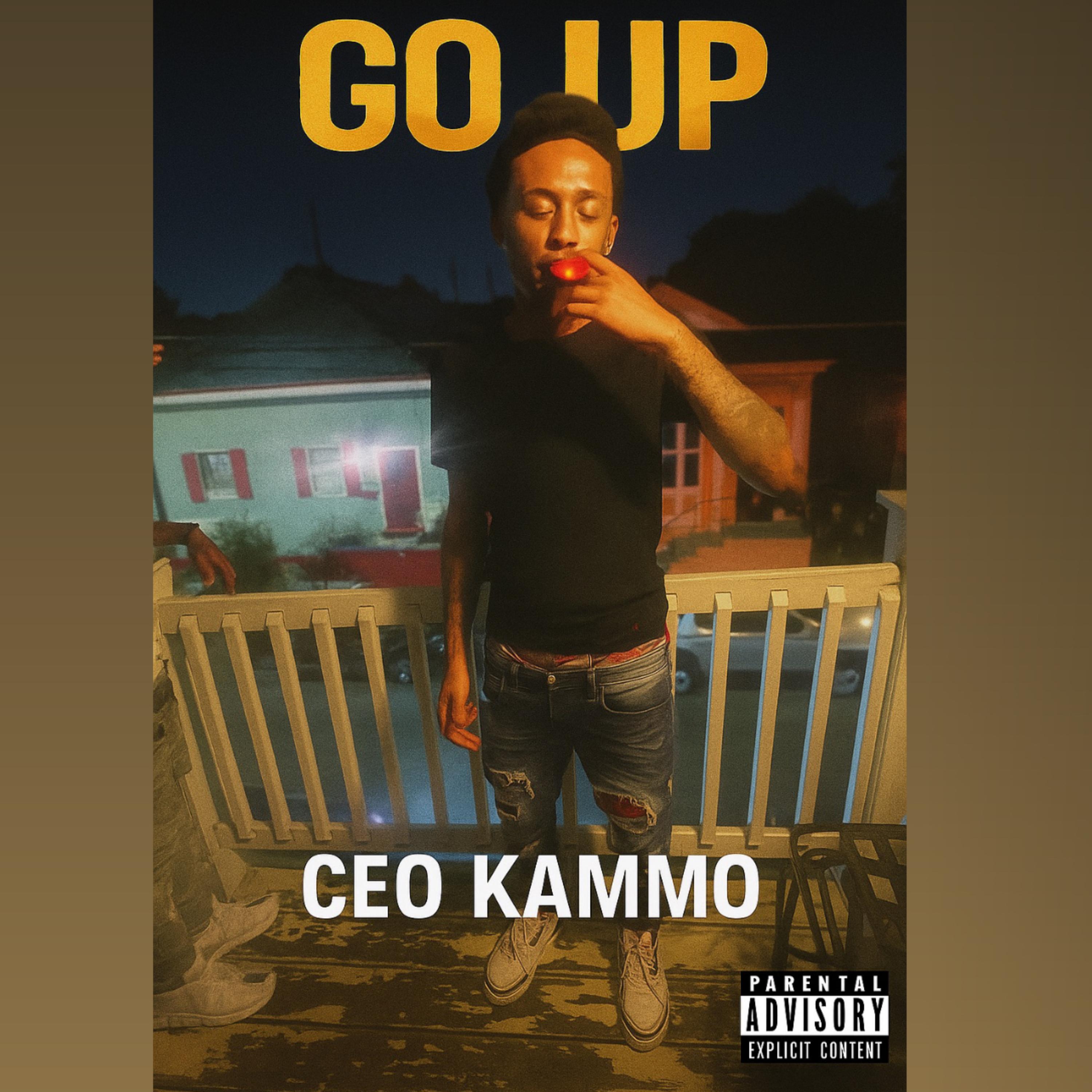 Go Up artwork
